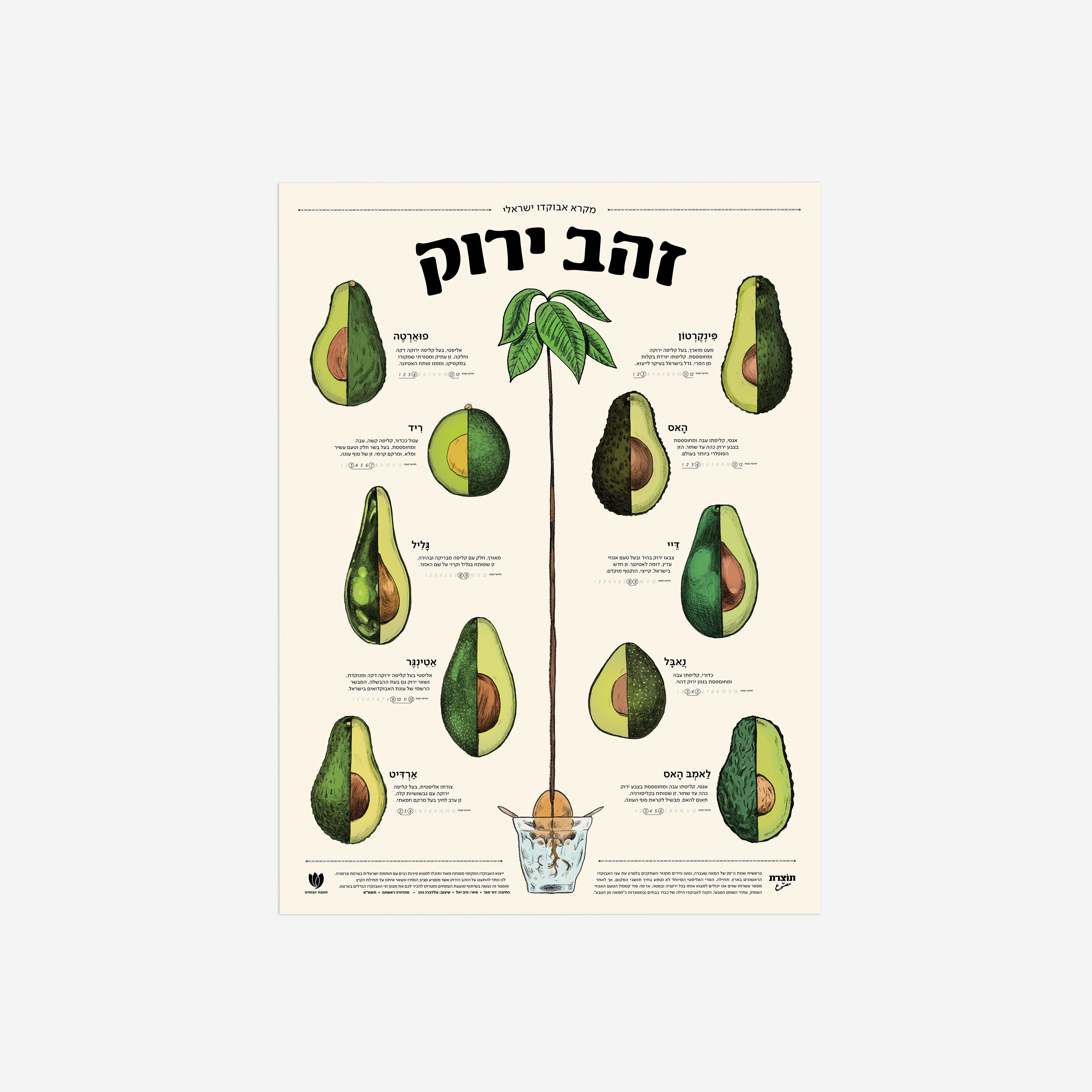 פוסטר זהב ירוק - מקרא אבוקדו