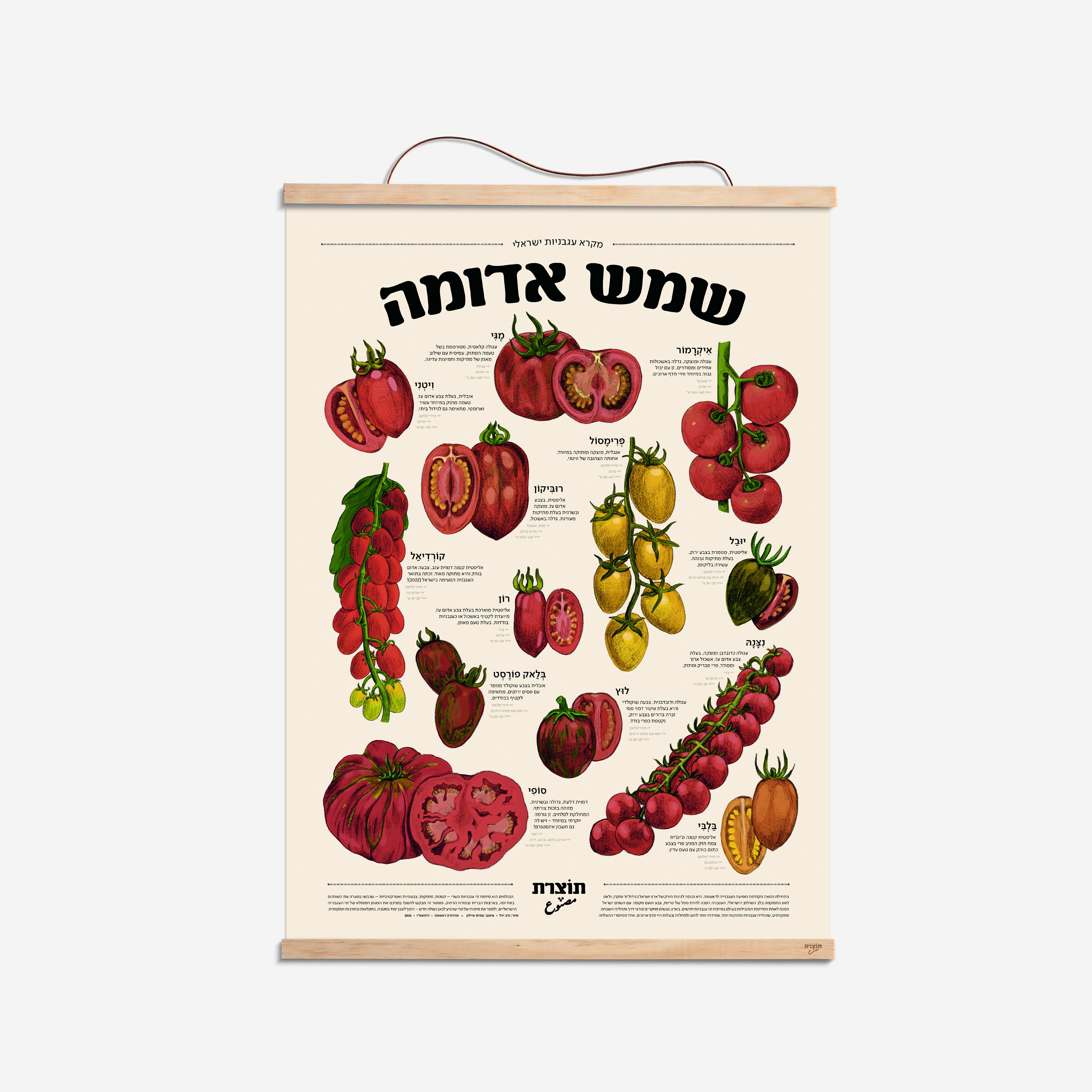 פוסטר שמש אדומה - מקרא עגבניות