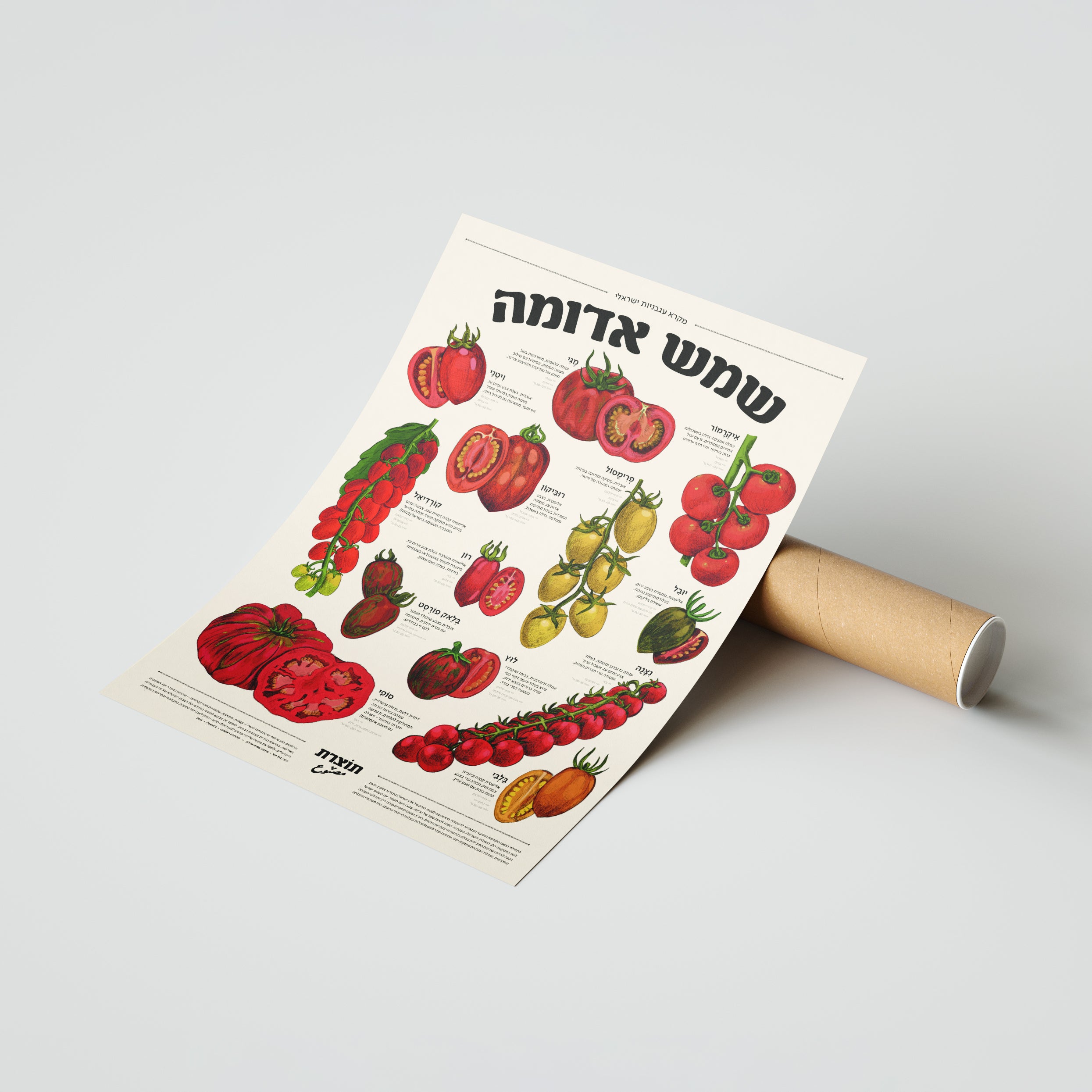 פוסטר שמש אדומה - מקרא עגבניות