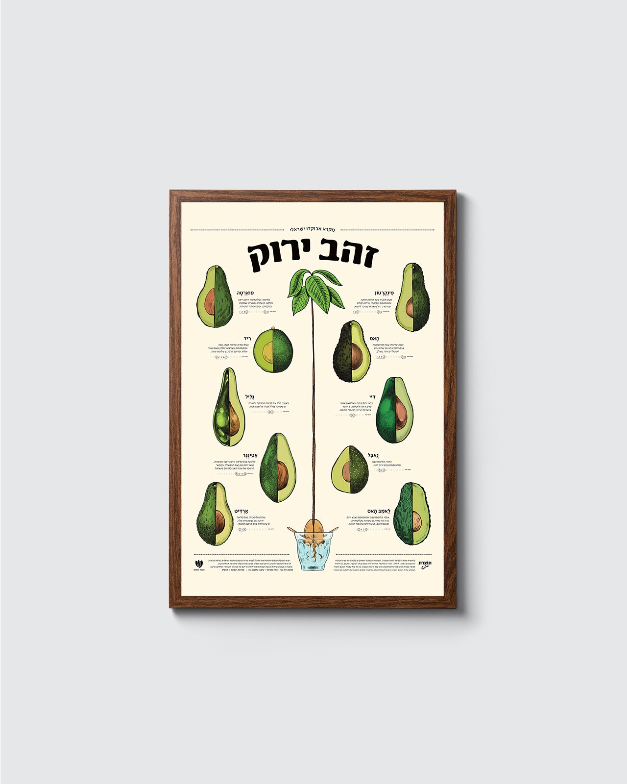 פוסטר זהב ירוק - מקרא אבוקדו