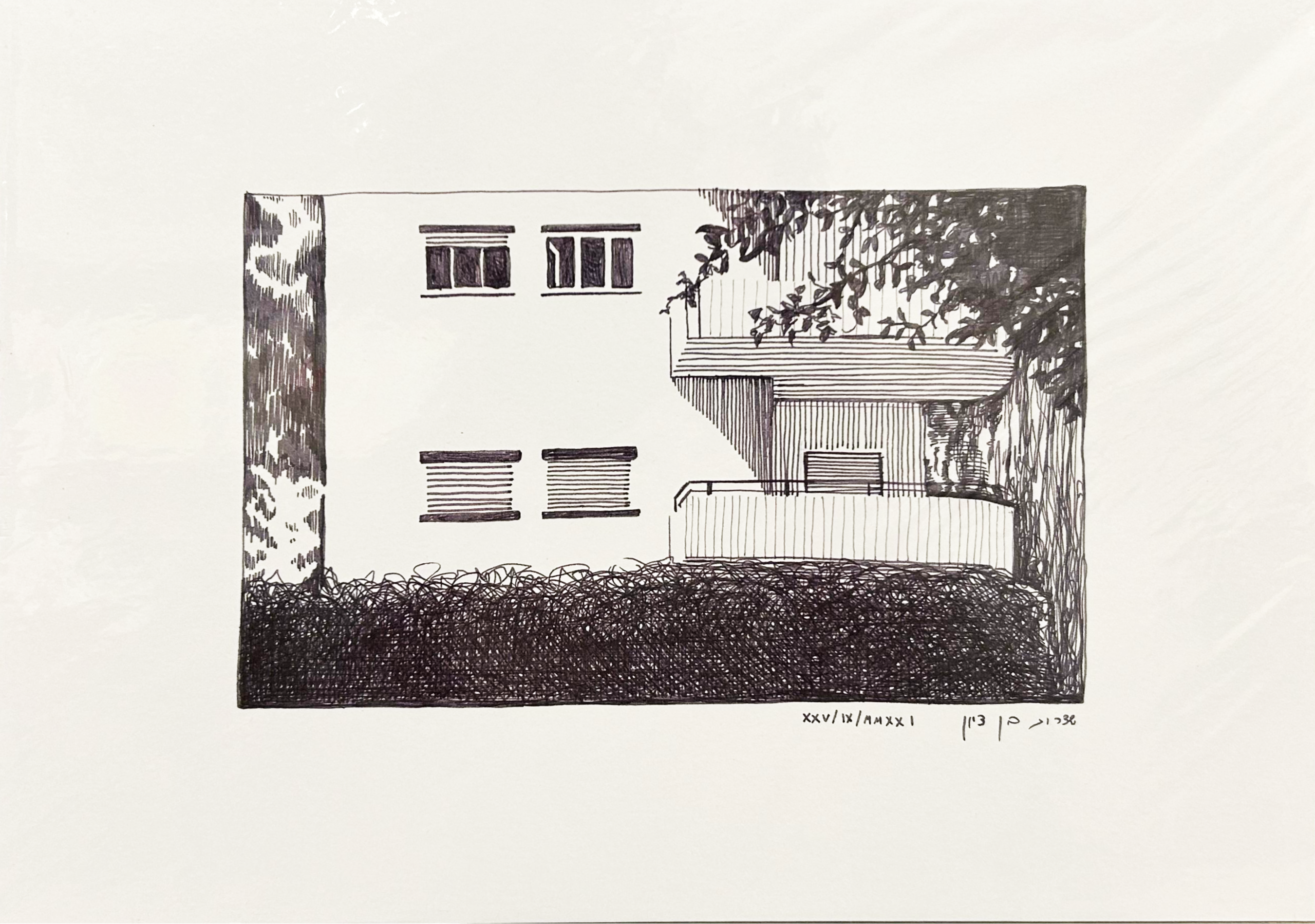 שדרות בן ציון - הדפס A4