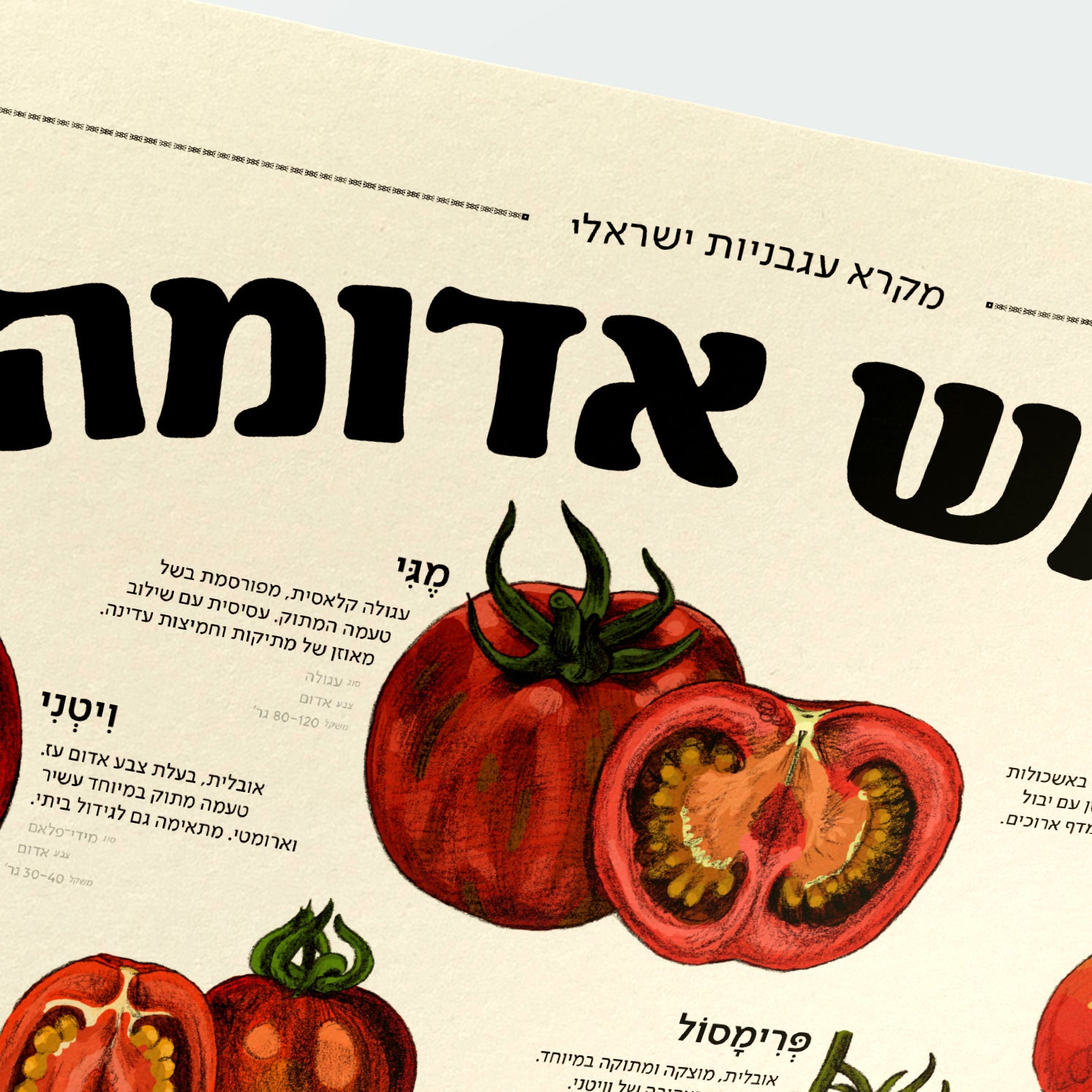 פוסטר שמש אדומה - מקרא עגבניות