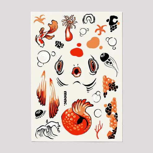 ערכת דג הקוי - Purco