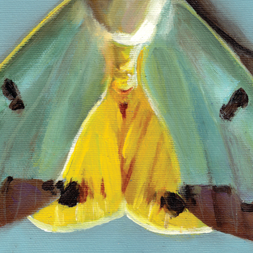 עש צהוב | הדפס דיגיטלי