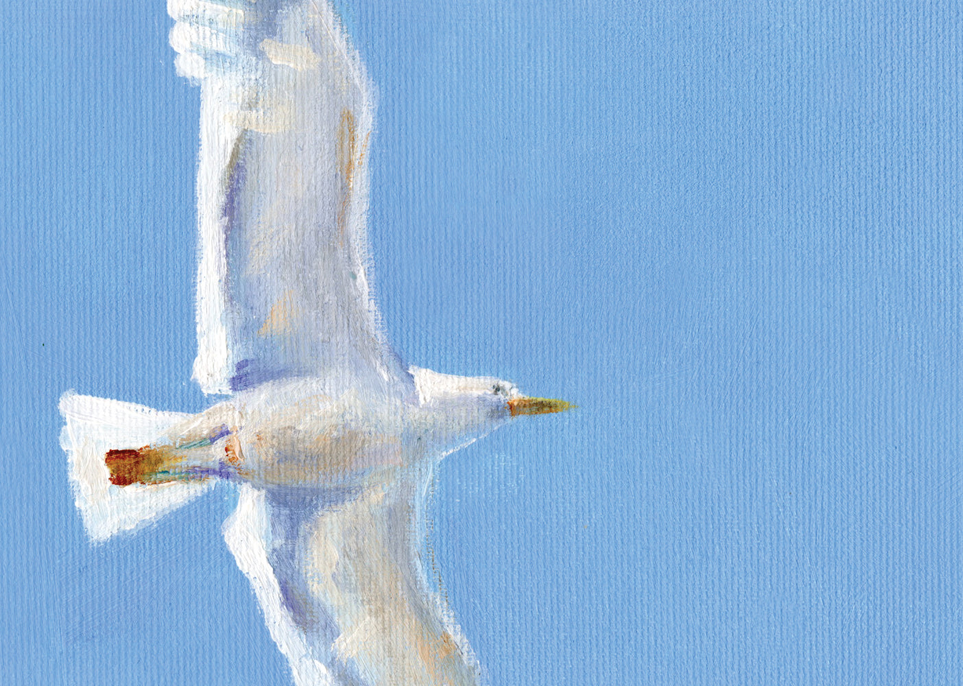 שחף | הדפס דיגיטלי