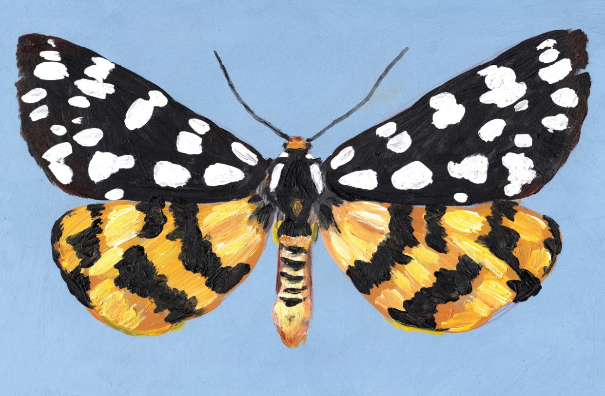 פרפר צהוב רקע תכלת | הדפס דיגיטלי