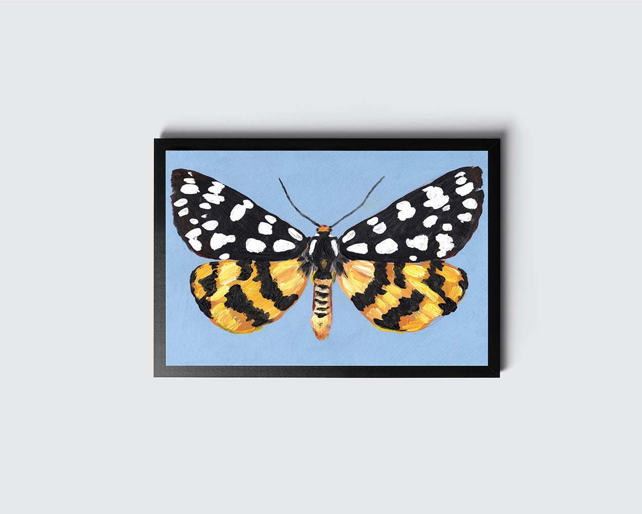 פרפר צהוב רקע תכלת | הדפס דיגיטלי