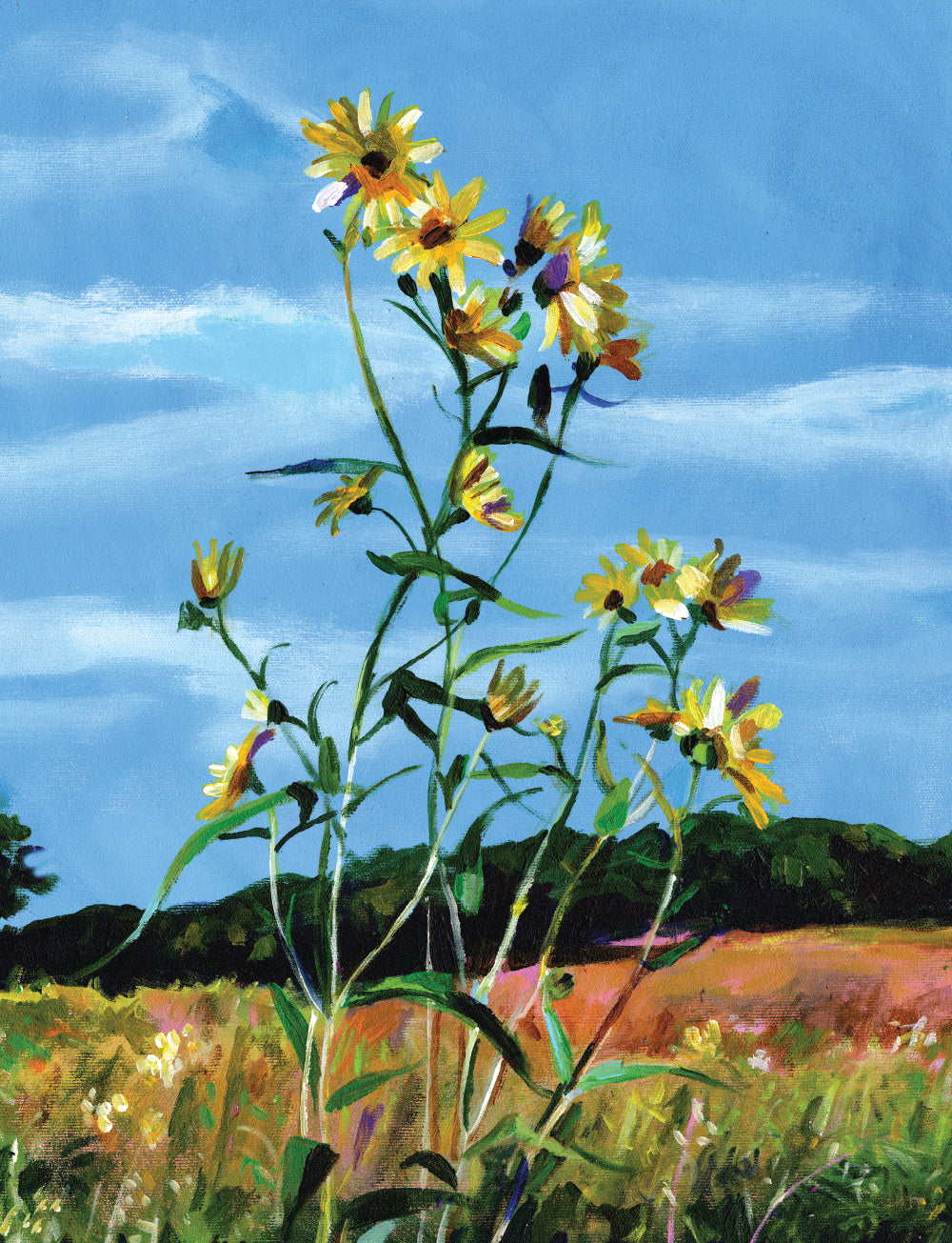 פרחים צהובים | הדפס דיגיטלי