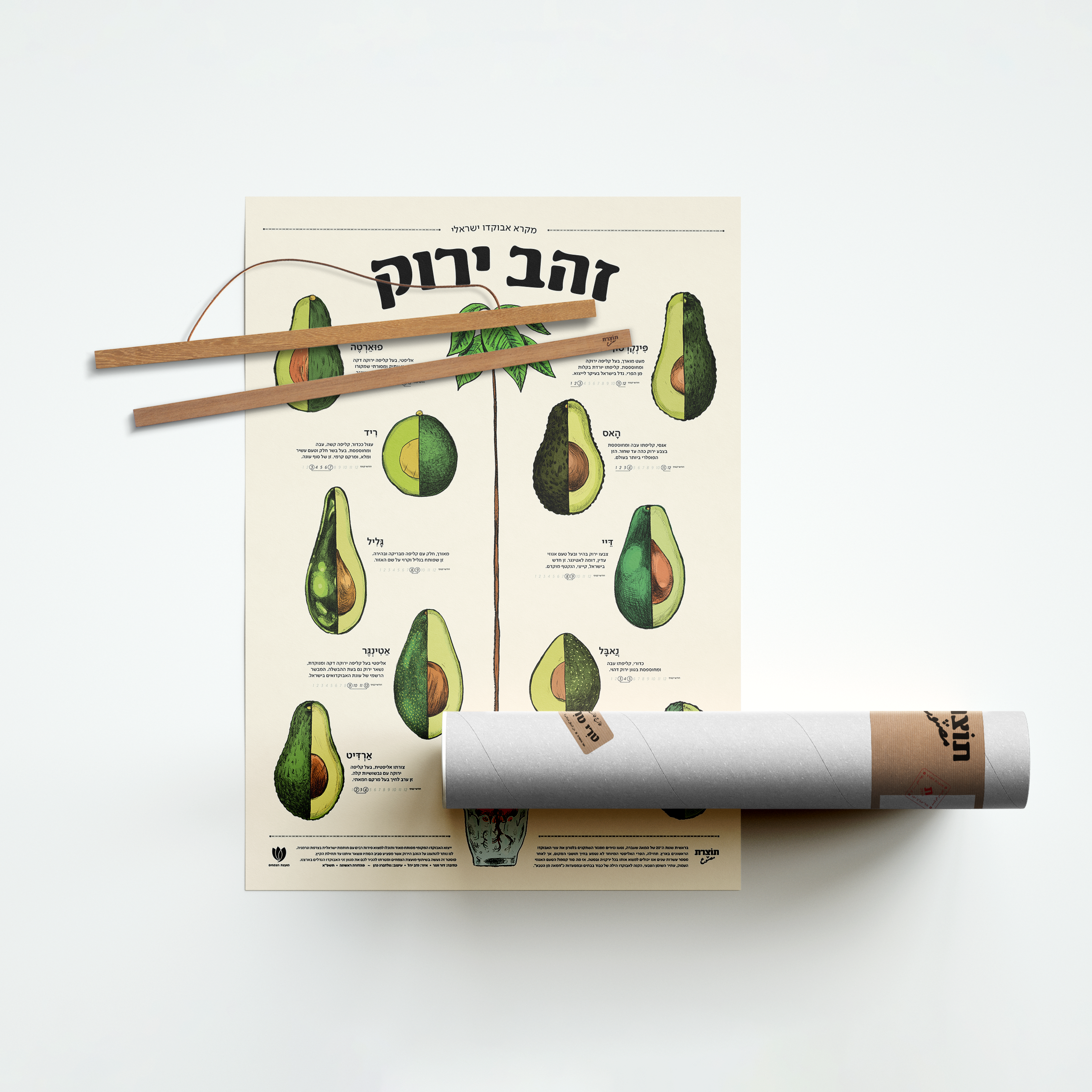 מארז "זהב ירוק" - פוסטר אבוקדו + מתלה עץ מגנטי