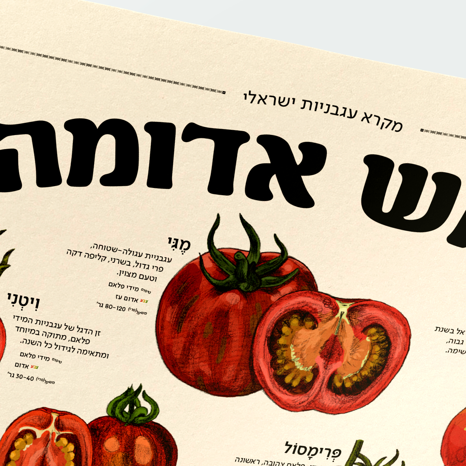 פוסטר מקרא עגבניות של תוצרת - עכשיו בהזמנה מוקדמת