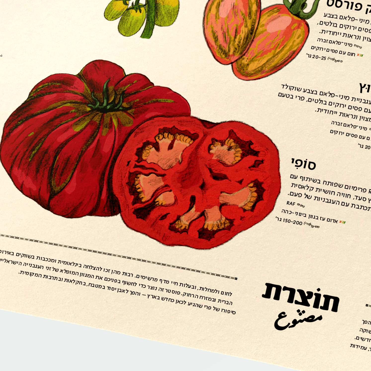 פוסטר מקרא עגבניות של תוצרת - עכשיו בהזמנה מוקדמת