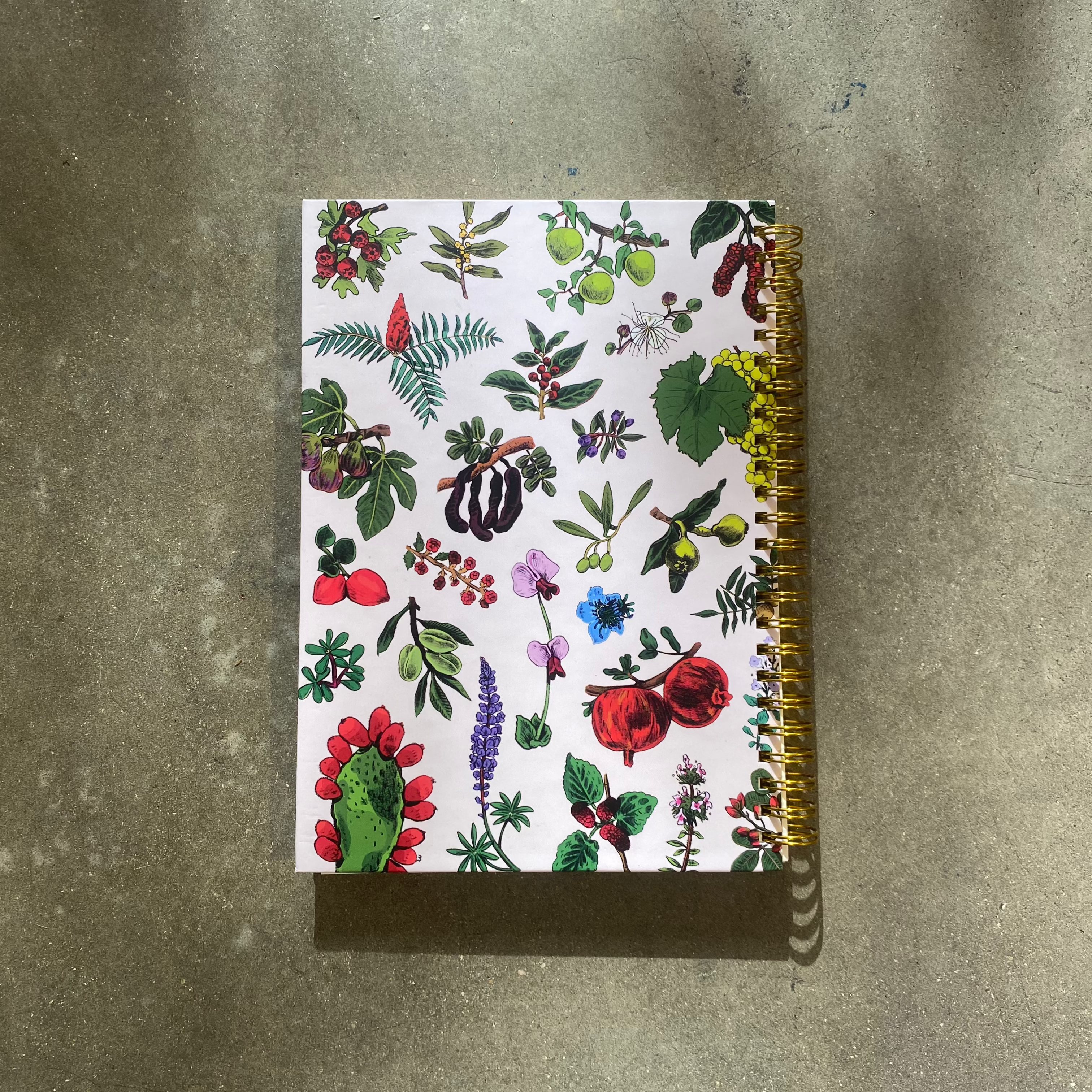 המארז הביתי