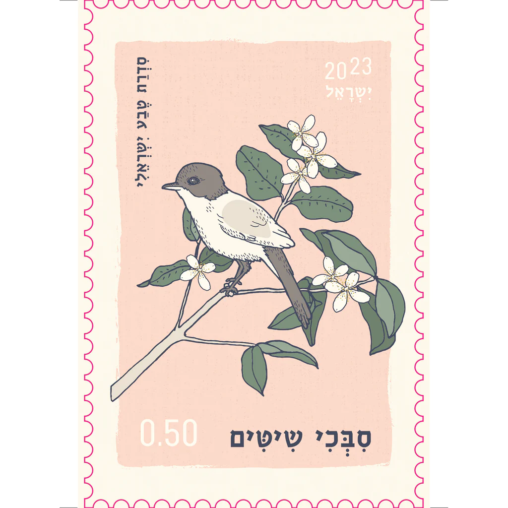 גלוית בול | יולטה