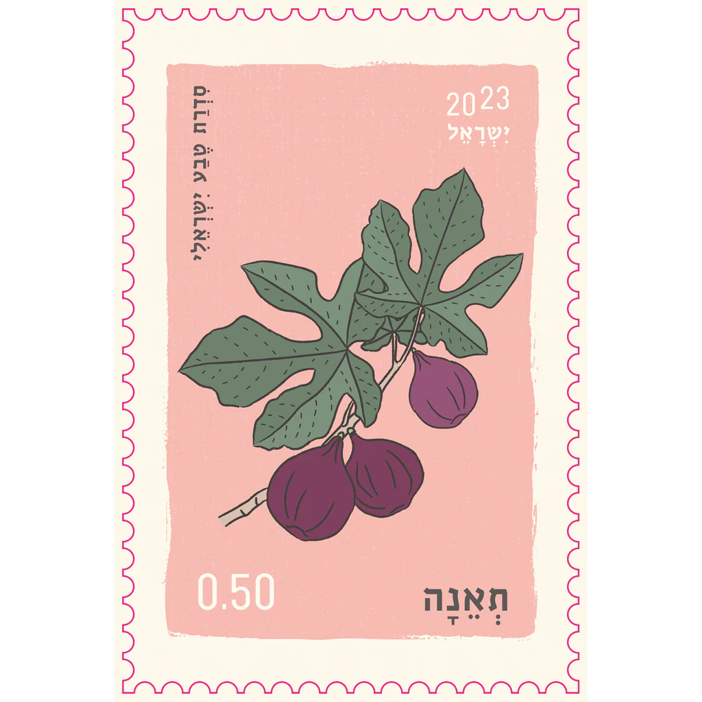 גלוית בול | יולטה