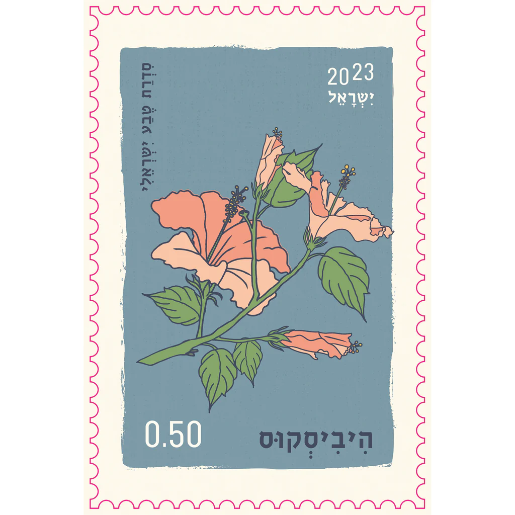 גלוית בול | יולטה