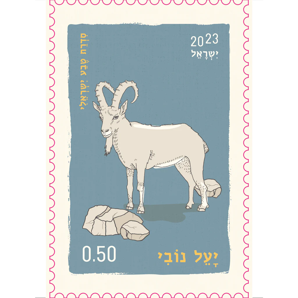 גלוית בול | יולטה