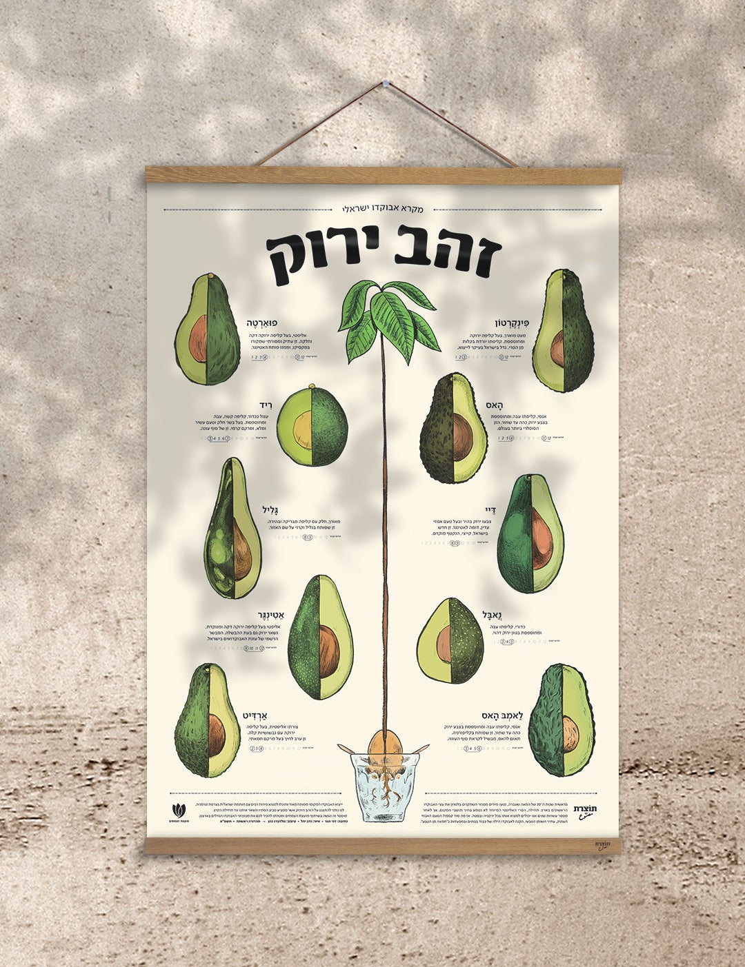 פוסטר זהב ירוק - מקרא אבוקדו