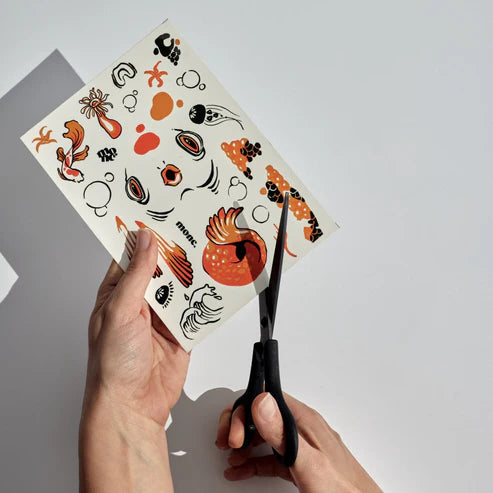 ערכת דג הקוי - Purco