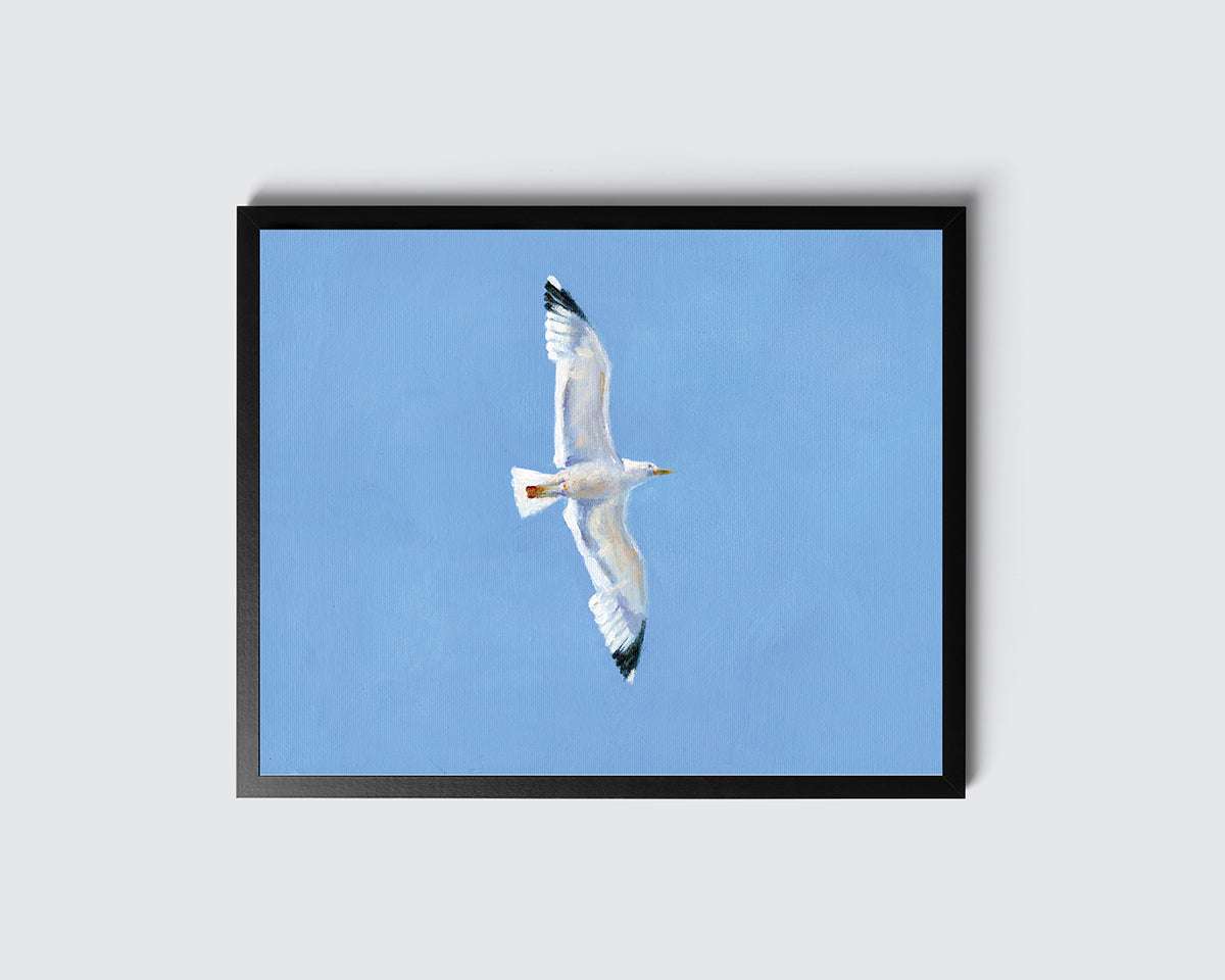 שחף | הדפס דיגיטלי