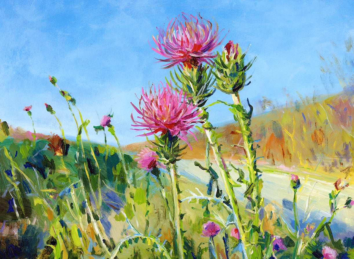 קוצים ורודים | הדפס דיגיטלי