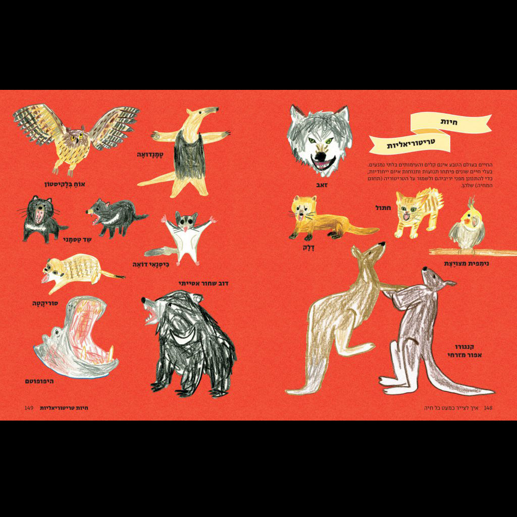 אֵיךְ לְצַיֵּר כִּמְעַט כָּל חַיָּה