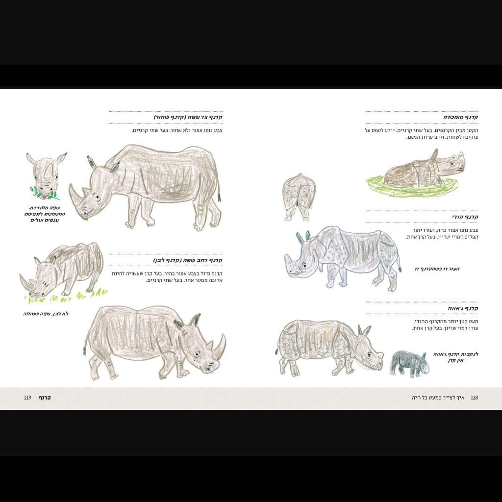 אֵיךְ לְצַיֵּר כִּמְעַט כָּל חַיָּה