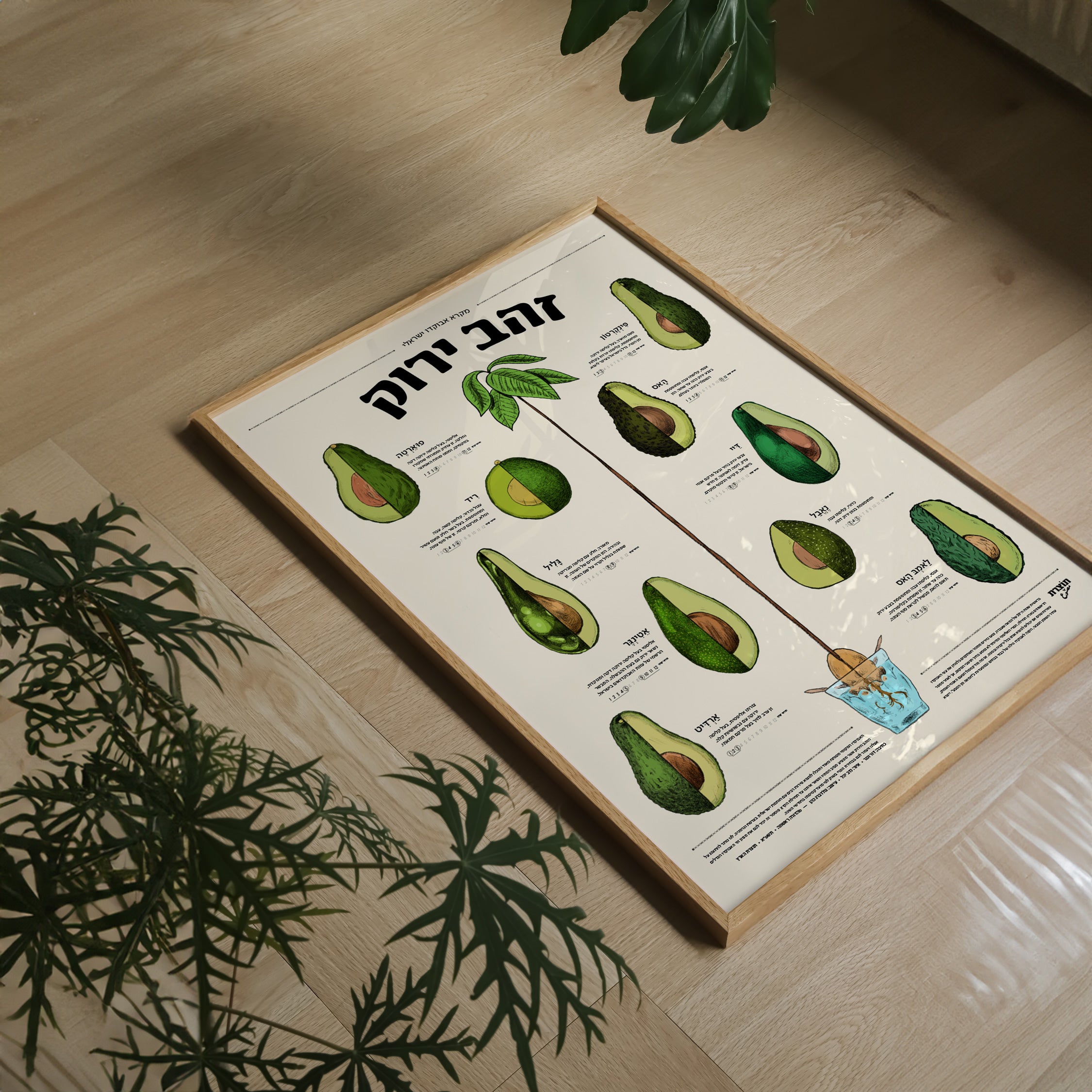 פוסטר זהב ירוק - מקרא אבוקדו