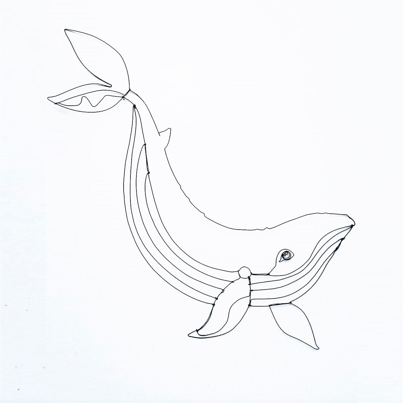 לויתן מחוט ברזל | שיר סניור