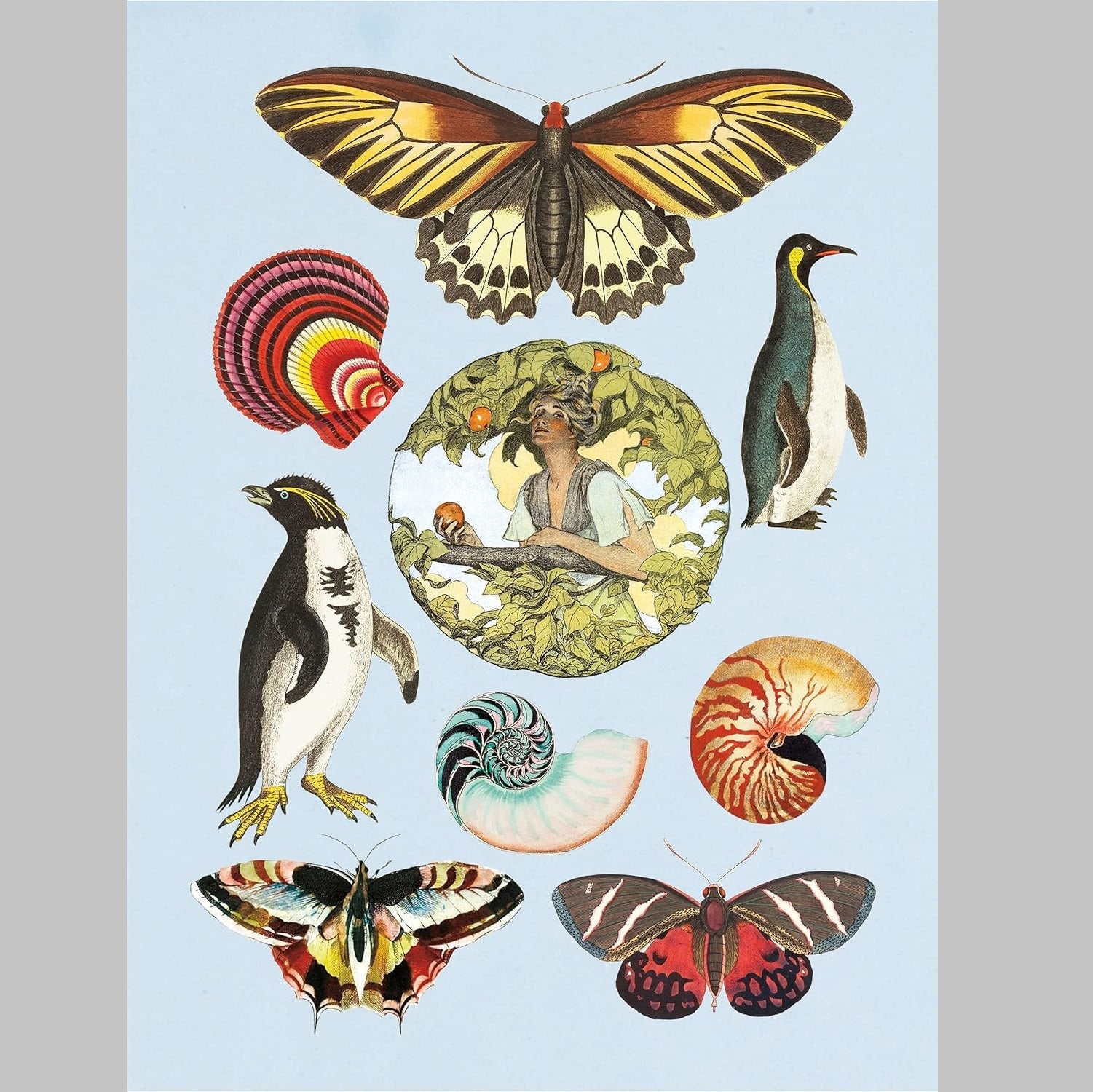 ספר המדבקות העתיקות: למעלה מ-1,000 מדבקות ויקטוריאניות מעולות