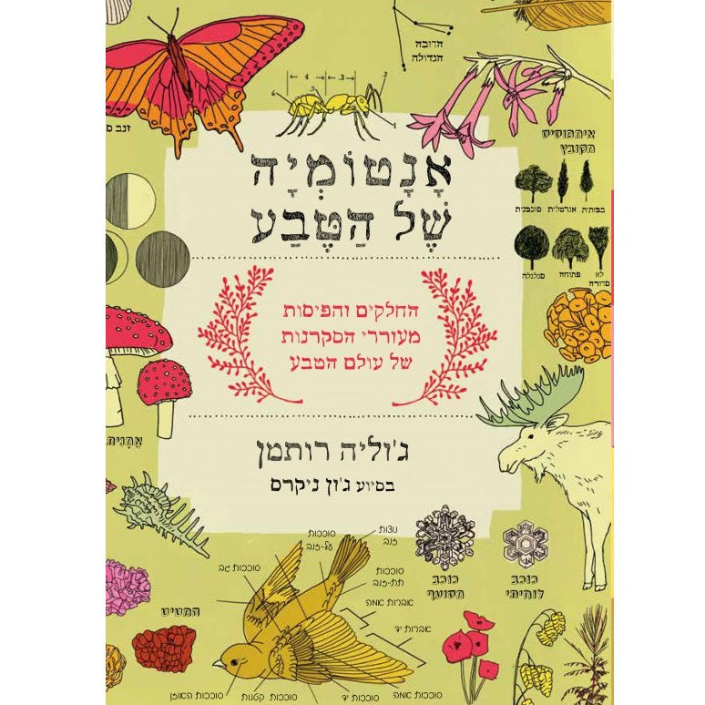 הָאָנָטוֹמְיָה שֶׁל הַטֶּבַע