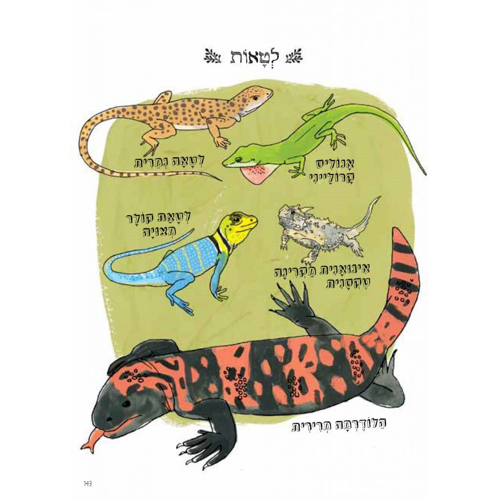 הָאָנָטוֹמְיָה שֶׁל הַטֶּבַע