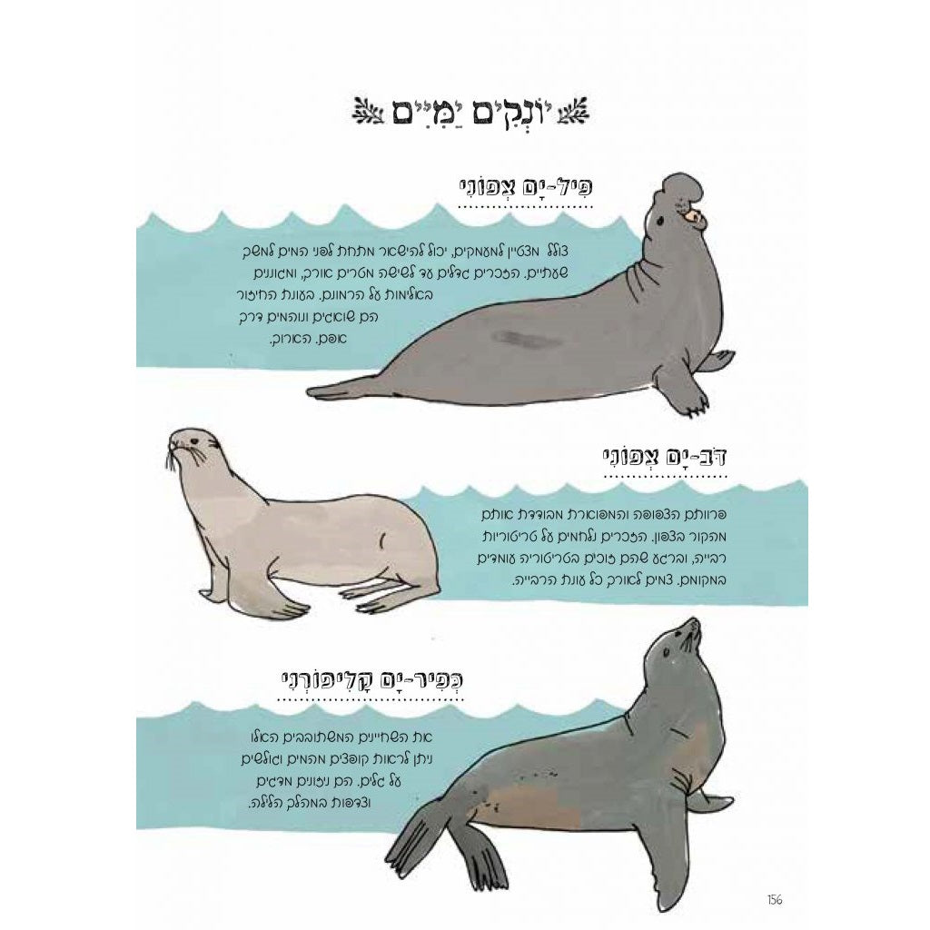 הָאָנָטוֹמְיָה שֶׁל הַטֶּבַע