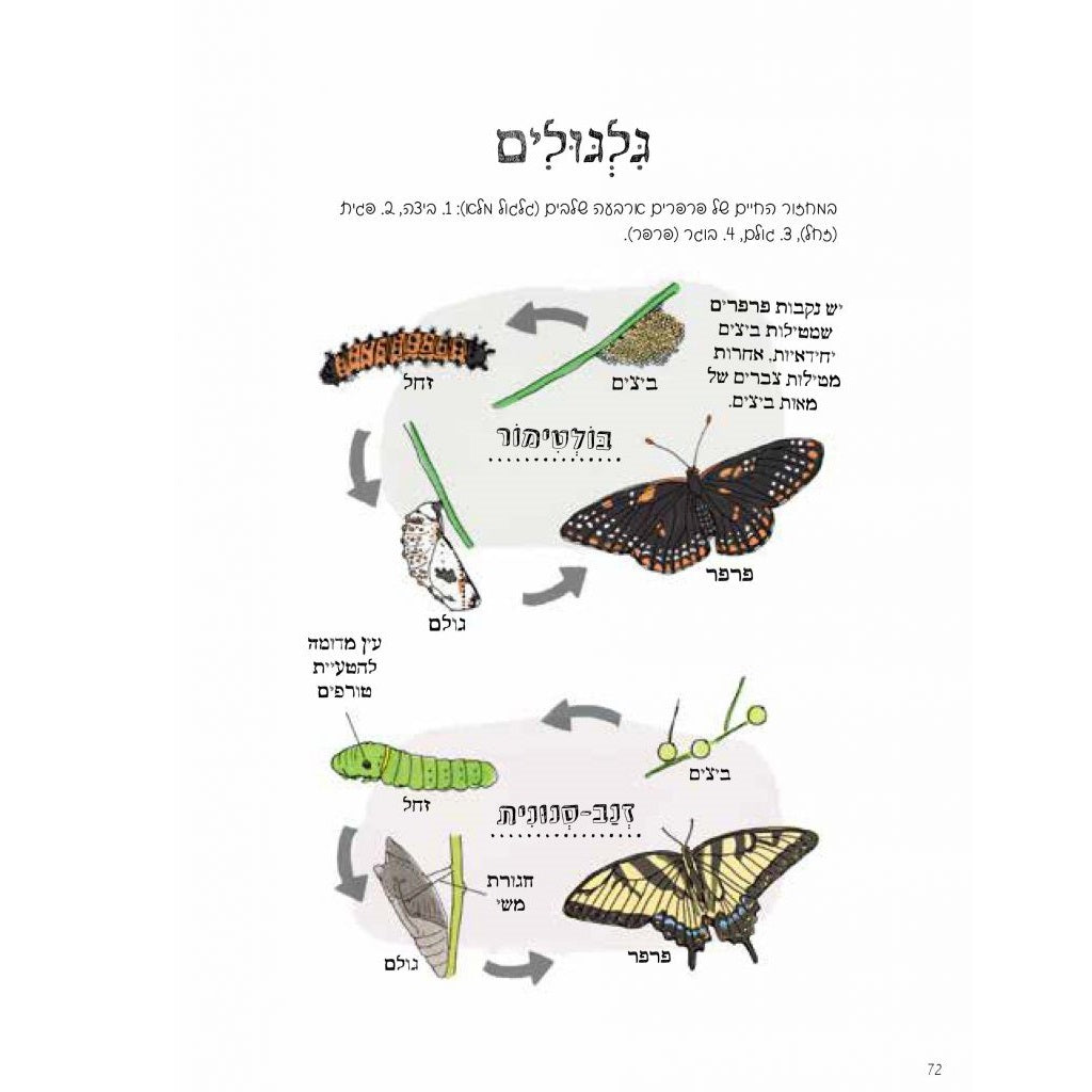 הָאָנָטוֹמְיָה שֶׁל הַטֶּבַע