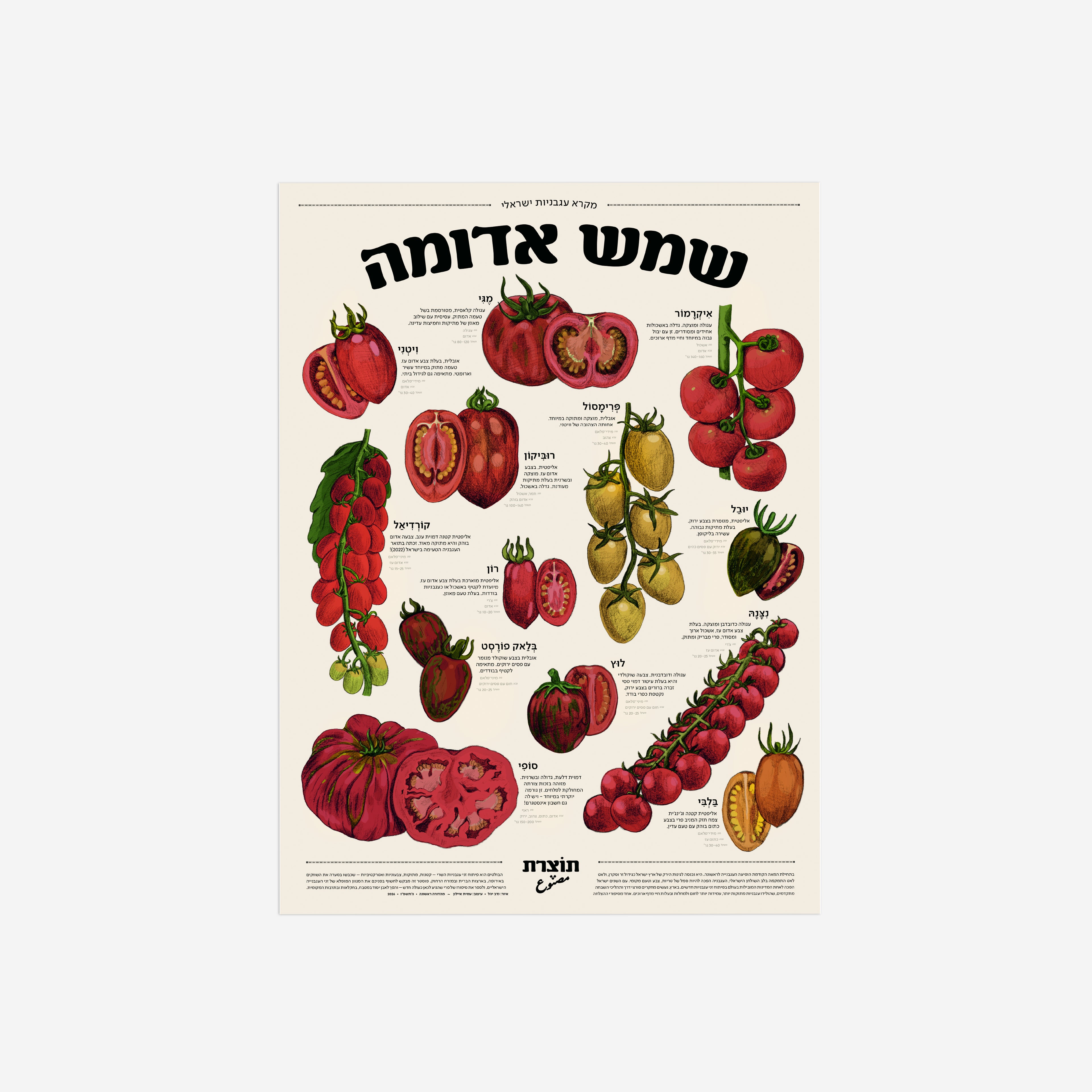 פוסטר שמש אדומה - מקרא עגבניות