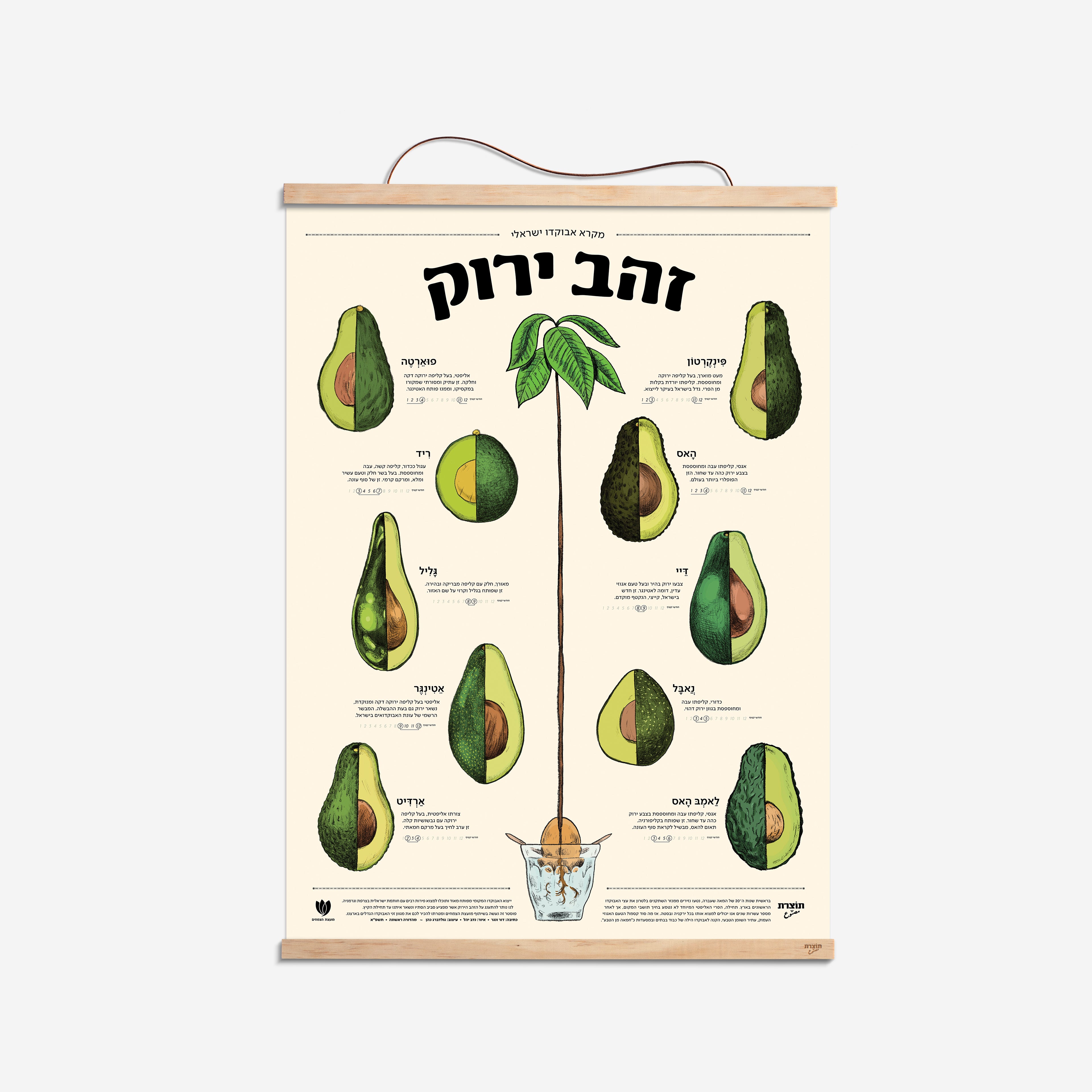 פוסטר זהב ירוק - מקרא אבוקדו