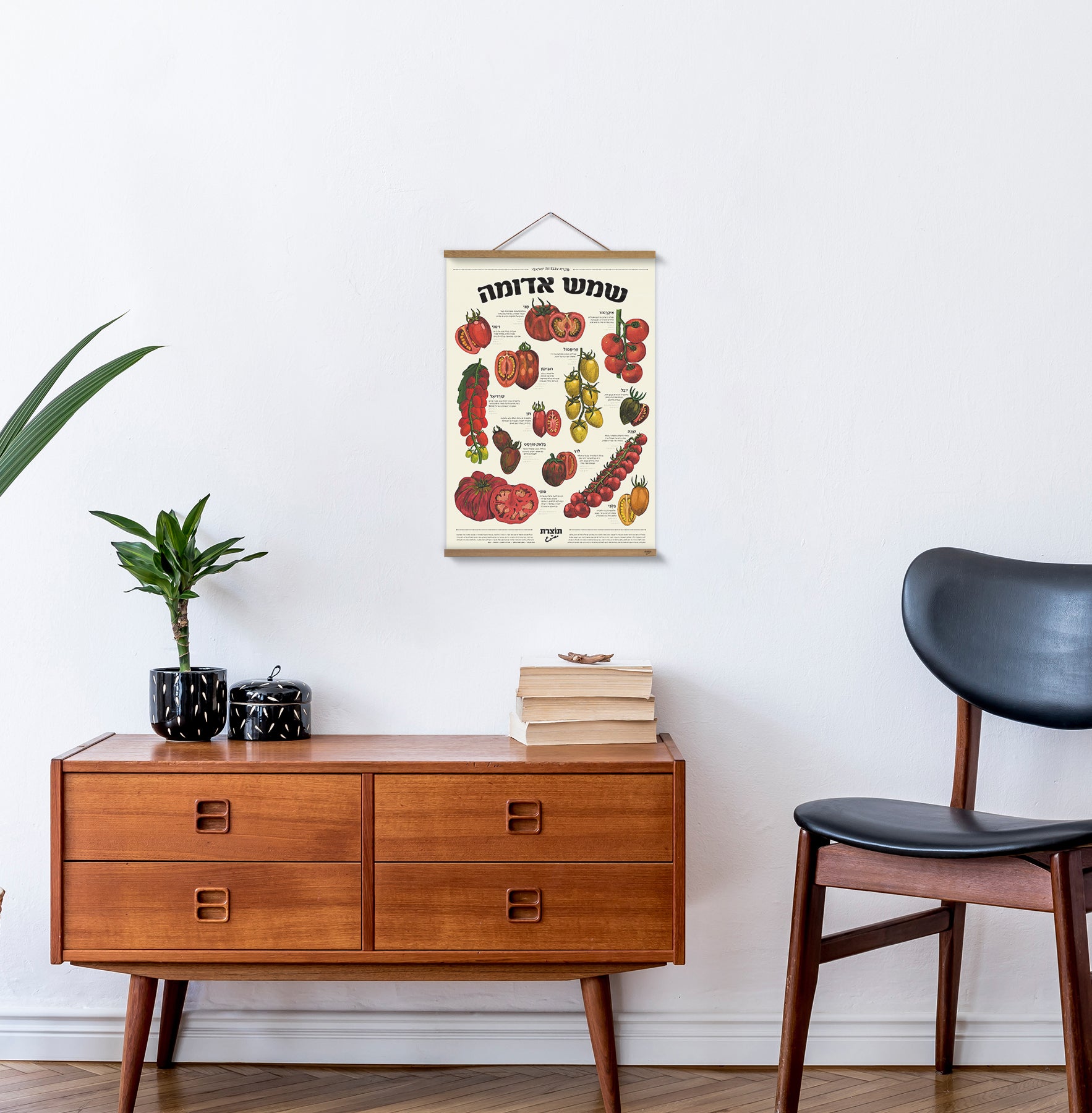 פוסטר שמש אדומה - מקרא עגבניות