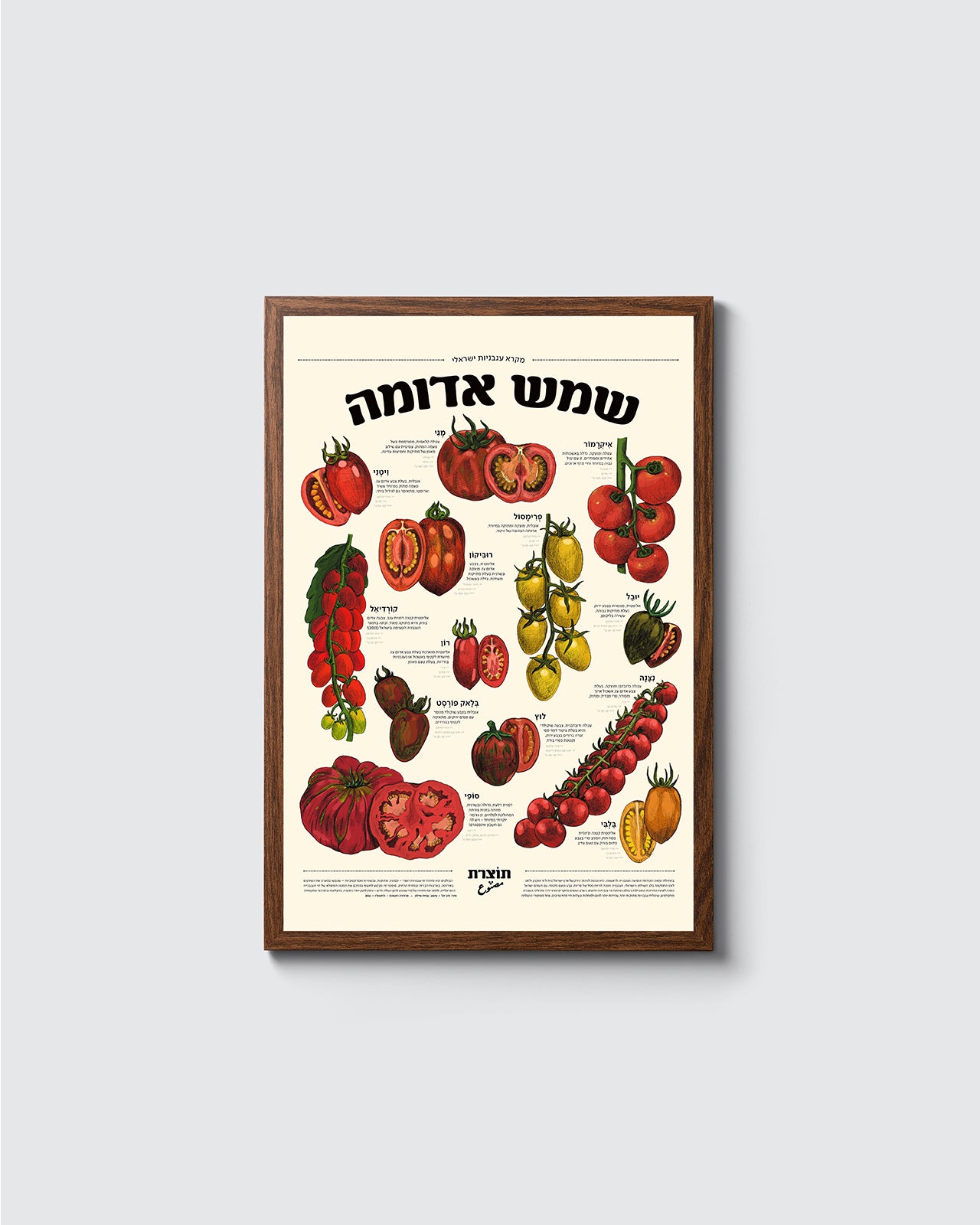 פוסטר שמש אדומה - מקרא עגבניות