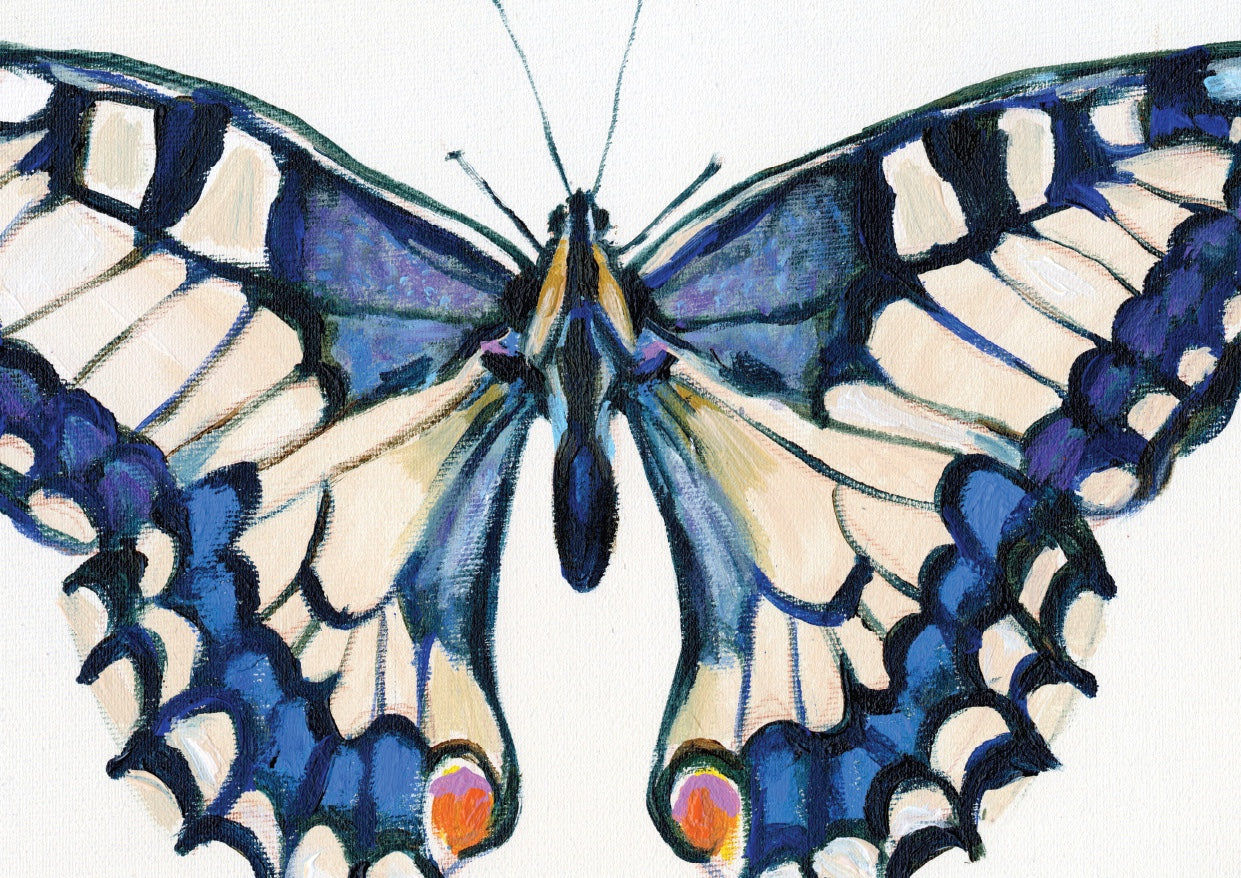 פרפר כחול | הדפס דיגיטלי