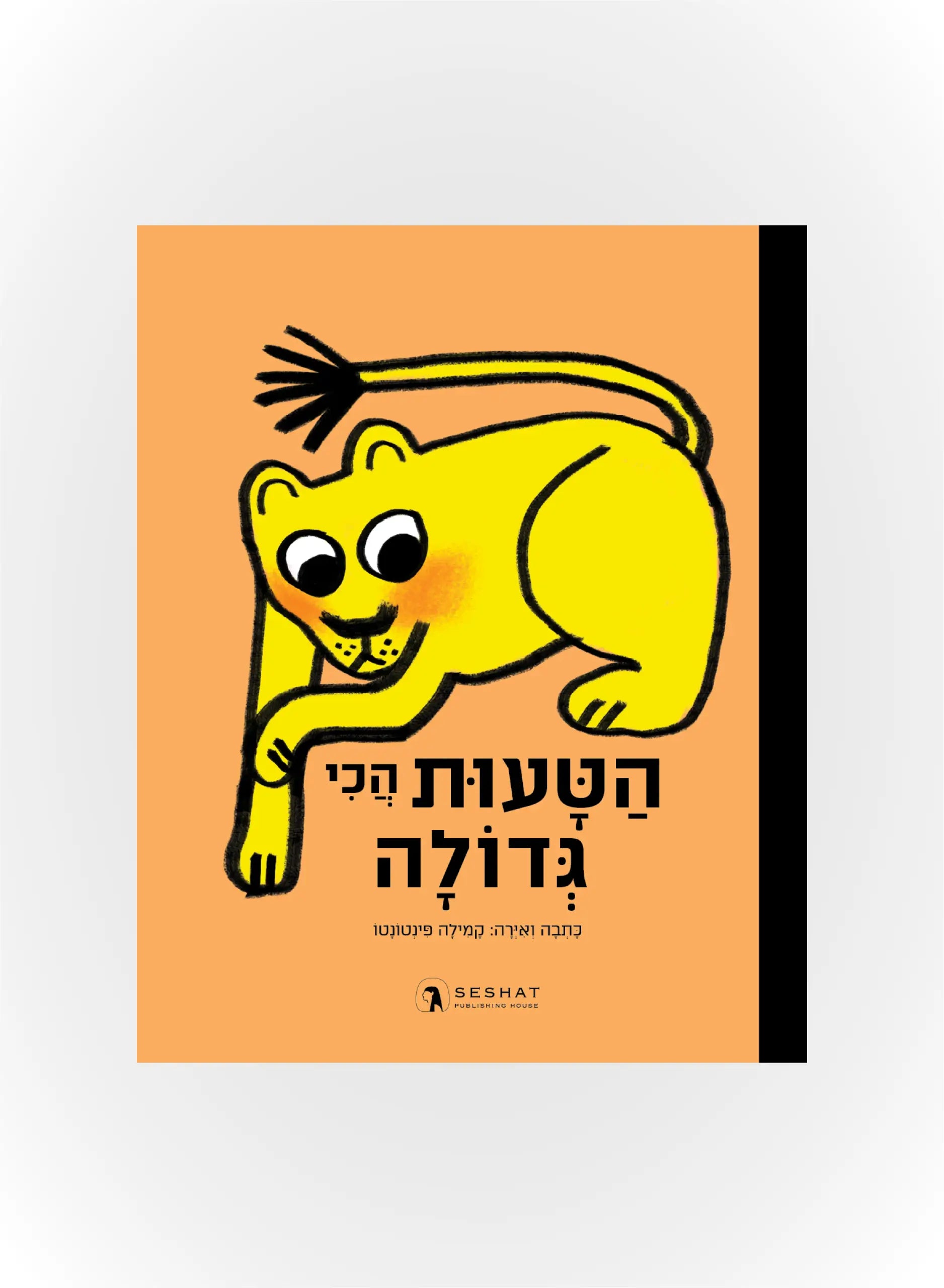 הטעות הכי גדולה - כריכה