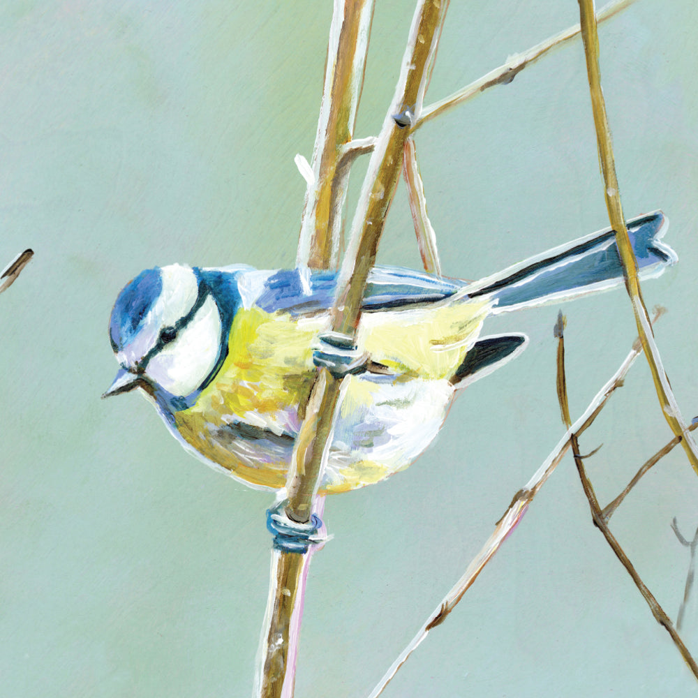ציפור צהבהבה | הדפס דיגיטלי