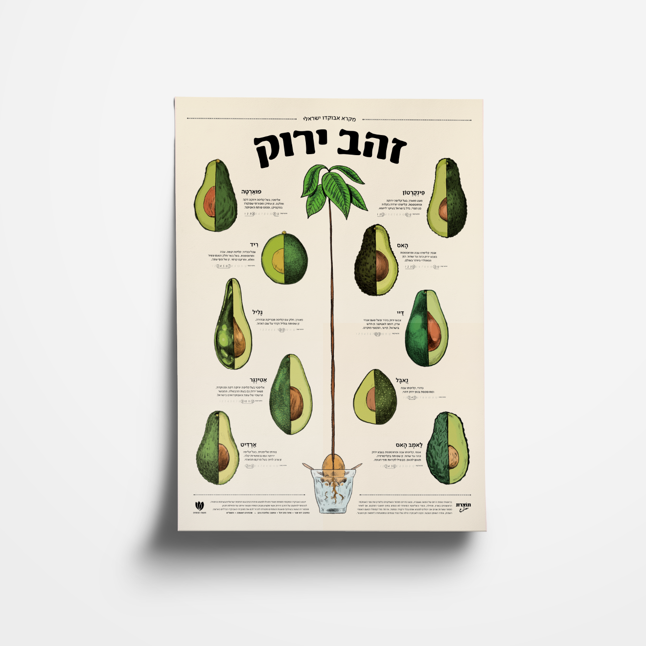 פוסטר זהב ירוק - מקרא אבוקדו