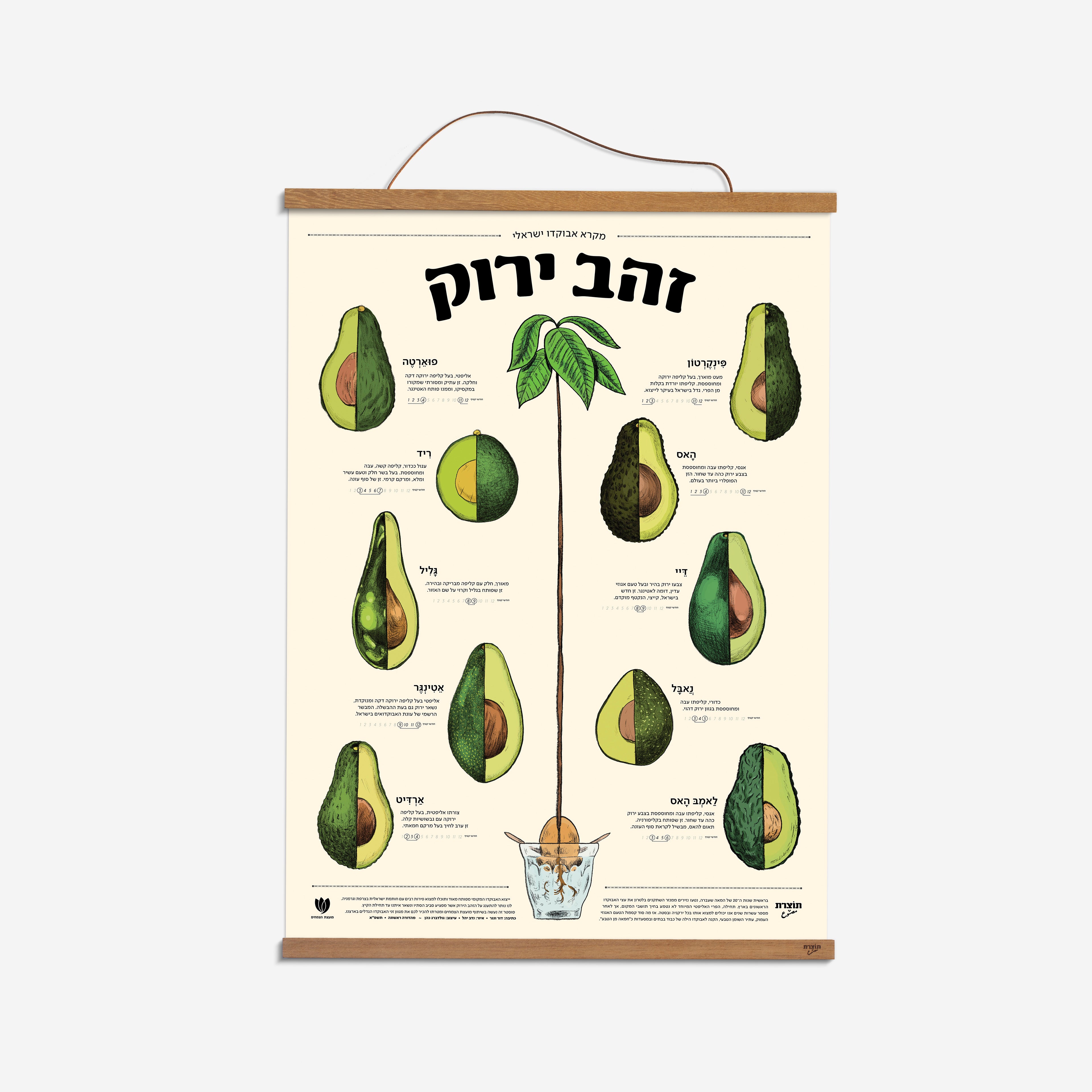 מארז "זהב ירוק" - פוסטר אבוקדו + מתלה עץ מגנטי