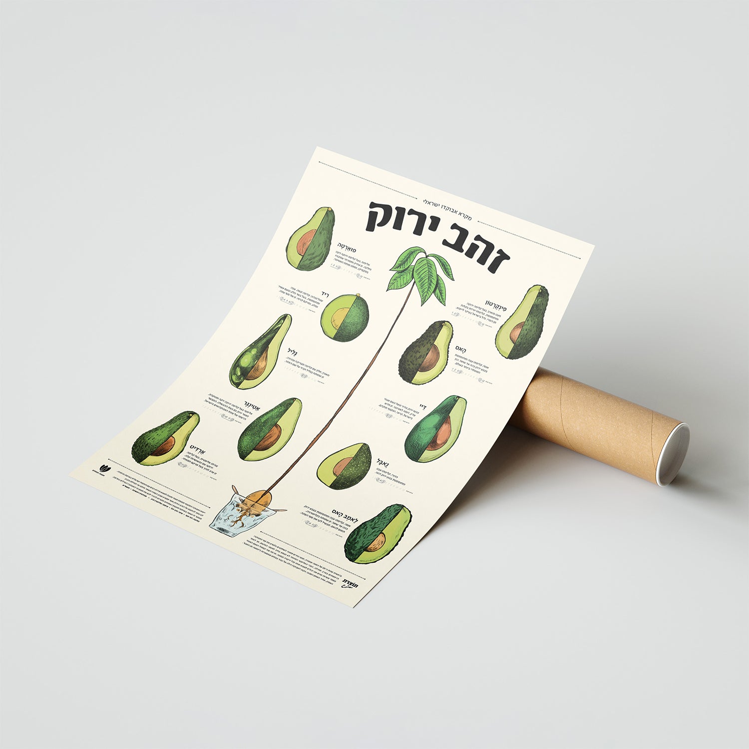 מארז "זהב ירוק" - פוסטר אבוקדו + מתלה עץ מגנטי