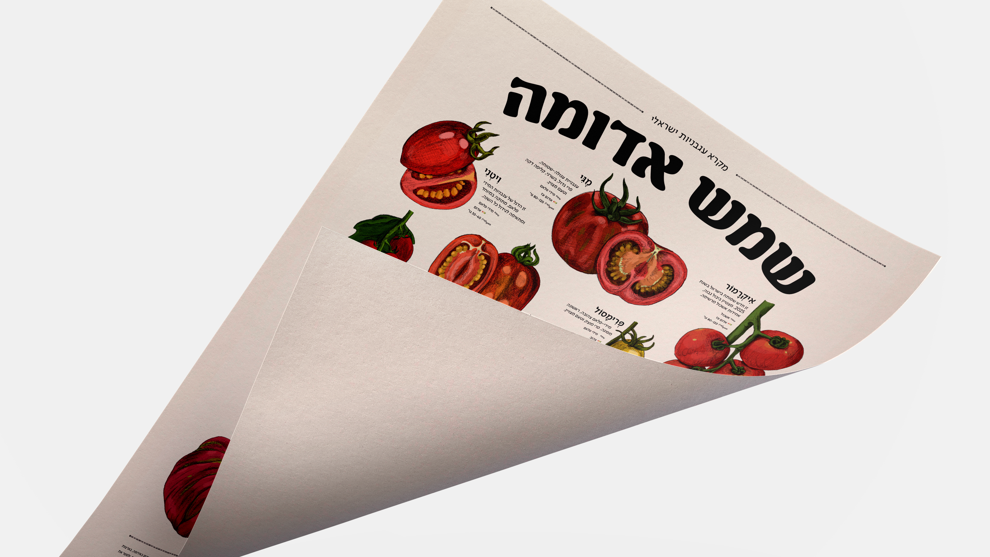 פוסטר מקרא עגבניות - תוצרת - עכשיו בהזמנה מוקדמת