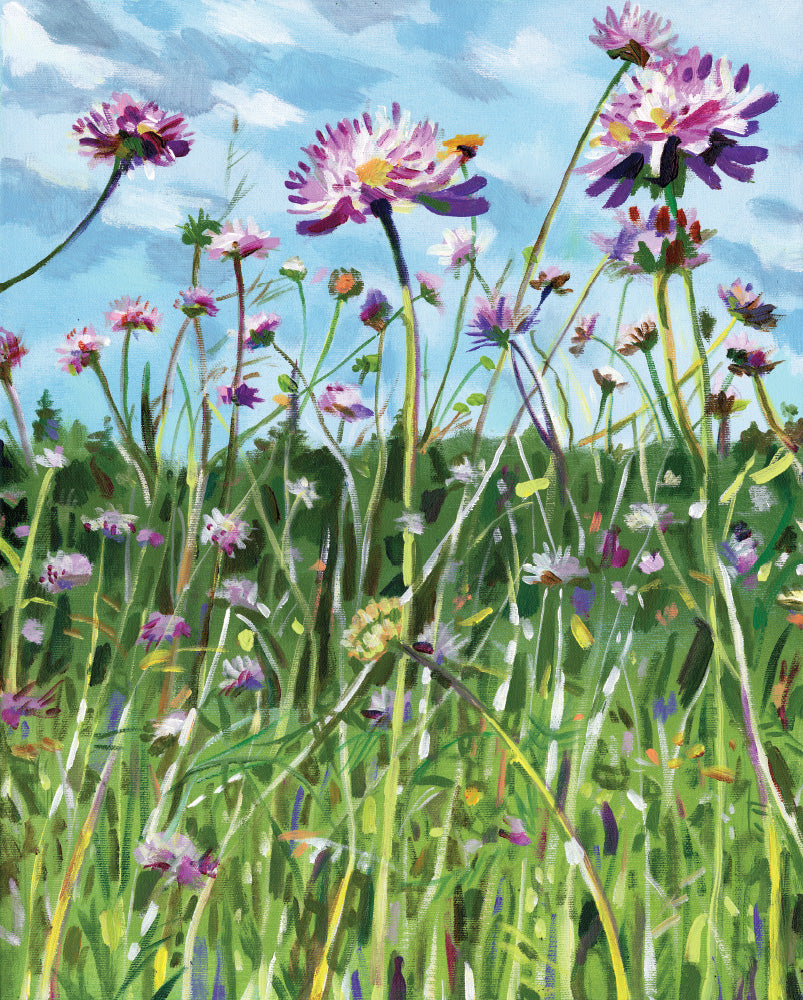 פרחי בר סגולים | הדפס דיגיטלי