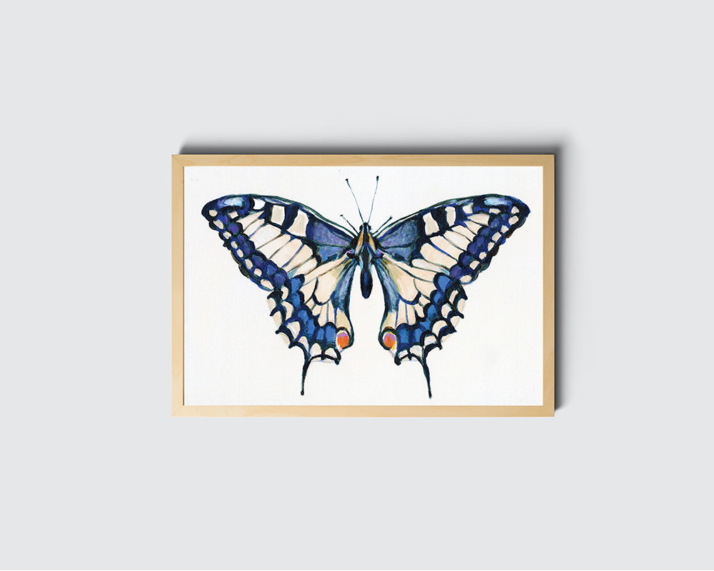 פרפר כחול | הדפס דיגיטלי