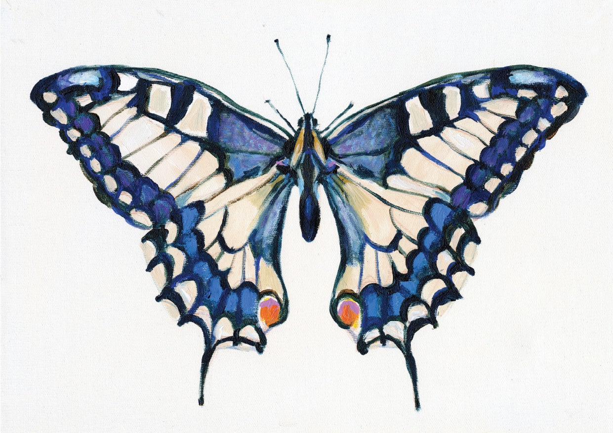 פרפר כחול | הדפס דיגיטלי