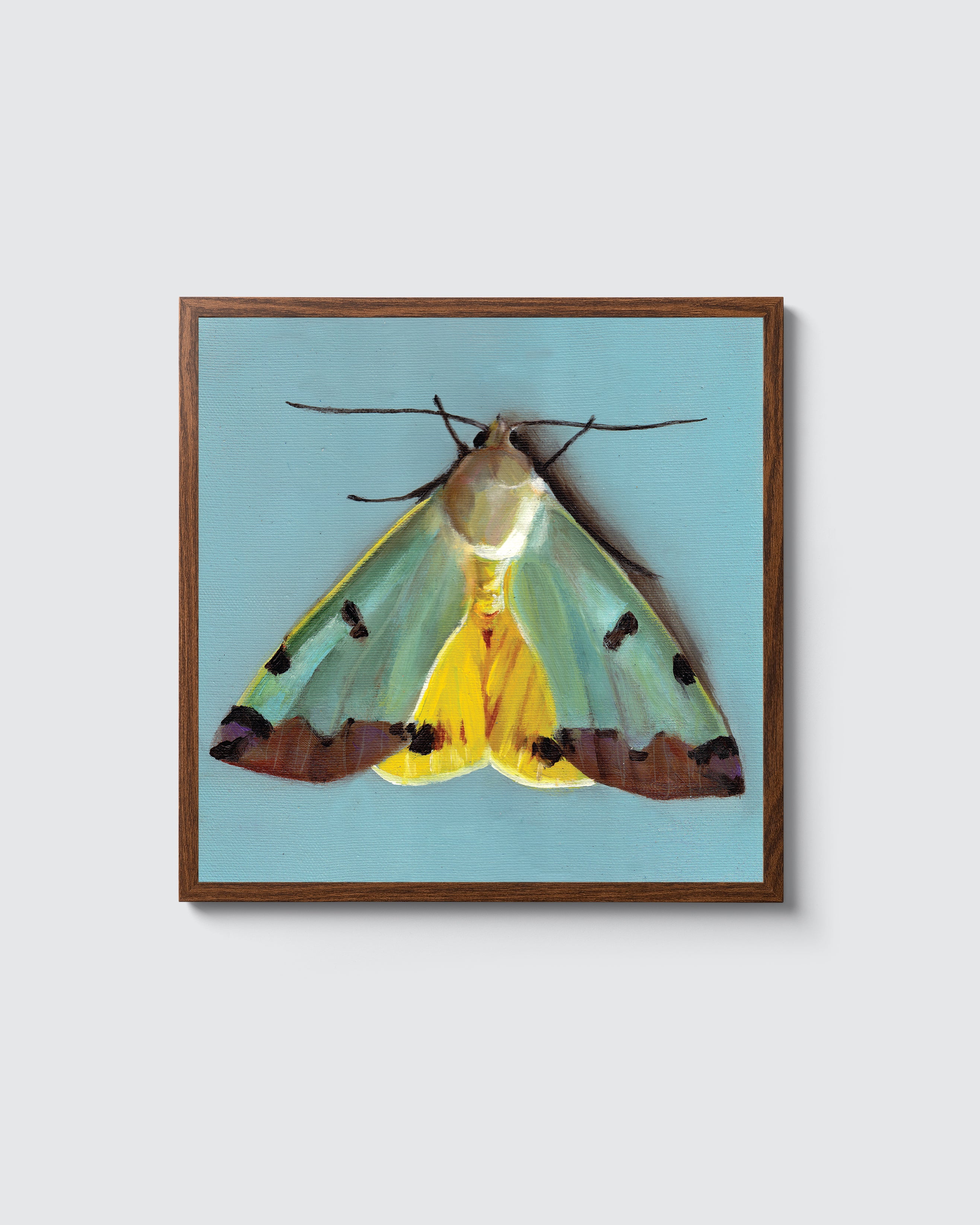 עש צהוב | הדפס דיגיטלי