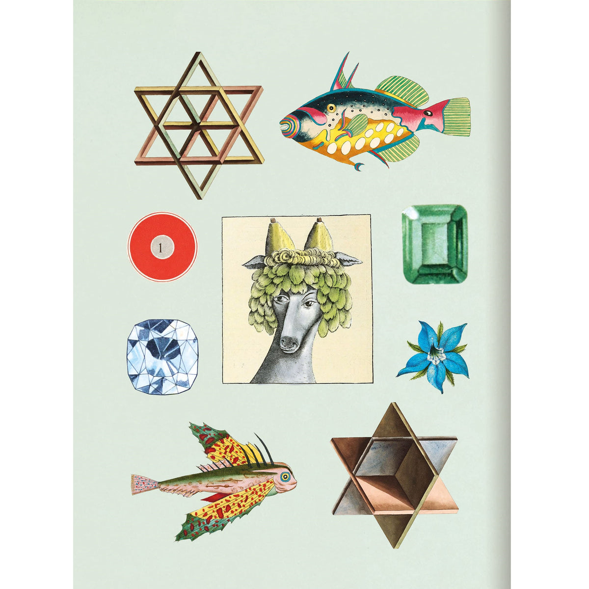 ספר מדבקות - The Antiquarian Sticker Book: Bibliophilia