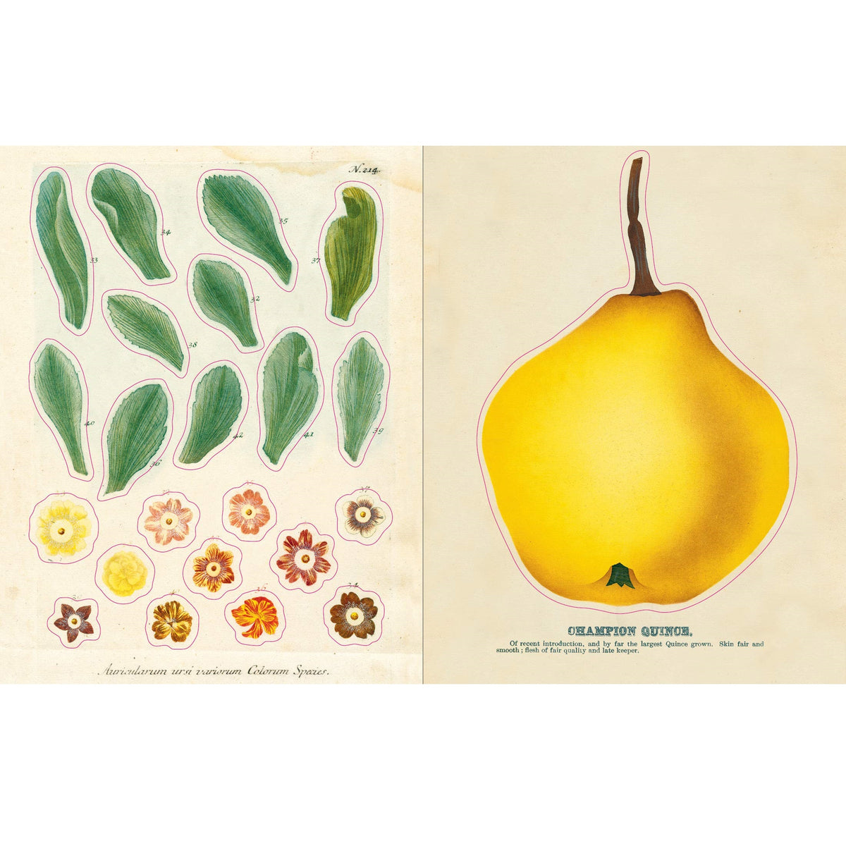 ספר מדבקות - The John Derian Sticker Book